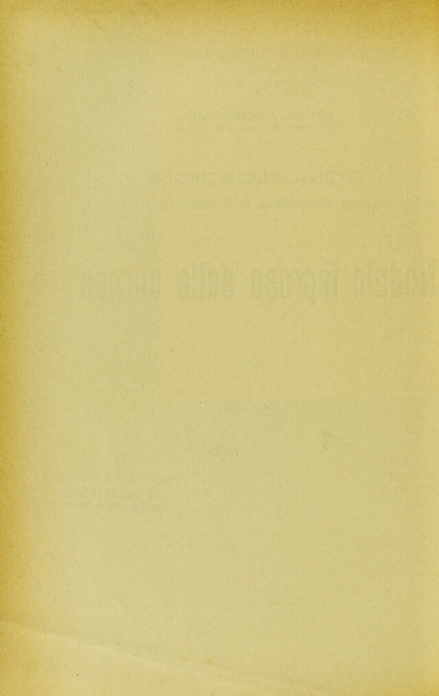 digitised image 2