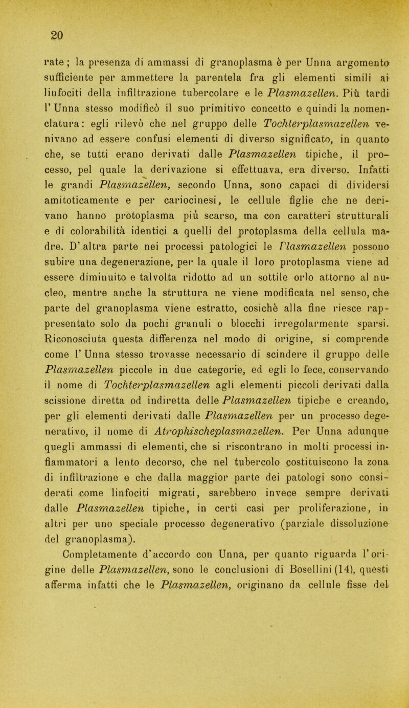rate; la presenza di ammassi di granoplasma è per Unna argomento sufficiente per ammettere la parentela fra gli elementi simili ai linfociti della infiltrazione tubercolare e le Plasmazellen. Più tardi 1’Unna stesso modificò il suo primitivo concetto e quindi la nomen- clatura: egli rilevò che nel gruppo delle Tochter plasmazellen ve- nivano ad essere confusi elementi di diverso significato, in quanto che, se tutti erano derivati dalle Plasmazellen tipiche, il pro- cesso, pel quale la derivazione si effettuava, era diverso. Infatti le grandi Plasmazellen, secondo Unna, sono capaci di dividersi amitoticamente e per cariocinesi, le cellule figlie che ne deri- vano hanno protoplasma più scarso, ma con caratteri strutturali e di colorabi 1 ità identici a quelli del protoplasma della cellula ma- dre. D’altra parte nei processi patologici le Plasmazellen possono subire una degenerazione, per la quale il loro protoplasma viene ad essere diminuito e talvolta ridotto ad un sottile orlo attorno al nu- cleo, mentre anche la struttura ne viene modificata nel senso, che parte del granoplasma viene estratto, cosichè alla fine riesce rap- presentato solo da pochi granuli o blocchi irregolarmente sparsi. Riconosciuta questa differenza nel modo di origine, si comprende come 1’ Unna stesso trovasse necessario di scindere il gruppo delle Plasmazellen piccole in due categorie, ed egli lo fece, conservando il nome di Tochter plasmazellen agli elementi piccoli derivati dalla scissione diretta od indiretta delle Plasmazellen tipiche e creando, per gli elementi derivati dalle Plasmazellen per un processo dege- nerativo, il nome di Atrophìscheplasmazellen. Per Unna adunque quegli ammassi di elementi, che si riscontrano in molti processi in- fiammatori a lento decorso, che nel tubercolo costituiscono la zona di infiltrazione e che dalla maggior parte dei patologi sono consi- derati come linfociti migrati, sarebbero invece sempre derivati dalle Plasmazellen tipiche, in certi casi per proliferazione, in altri per uno speciale processo degenerativo (parziale dissoluzione del granoplasma). Completamente d’accordo con Unna, per quanto riguarda l’ori- gine delle Plasmazellen, sono le conclusioni di Bosellini (14), questi afferma infatti che le Plasmazellen, originano da cellule fisse del