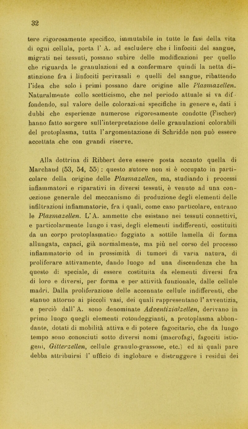 tere rigorosamente specifico, immutabile in tutte le fasi della vita di ogni cellula, porta 1’ A. ad escludere che i linfociti del sangue, migrati nei tessuti, possano subire delle modificazioni per quello che riguarda le granulazioni ed a confermare quindi la netta di- stinzione fra i linfociti perivasali e quelli del sangue, ribattendo l’idea che solo i primi possano dare origine alle Plasmazellen. Naturalmente collo scetticismo, che nel periodo attuale si va dif- fondendo, sul valore delle colorazioni specifiche in genere e, dati i dubbi che esperienze numerose rigorosamente condotte (Fischer) hanno fatto sorgere sull’interpretazione delle granulazioni colorabili del protoplasma, tutta Vargomentazione di Schridde non può essere accettata che con grandi riserve. Alla dottrina di Ribbert deve essere posta accanto quella di Marchand (53, 54, 55) : questo autore non si è occupato in parti- colare della origine delle Plasmazellen, ma, studiando i processi infiammatori e riparativi in diversi tessuti, è venuto ad una con- cezione generale del meccanismo di produzione degli elementi delle infiltrazioni infiammatorie, fra i quali, come caso particolare, entrano le Plasmazellen. L’A. ammette che esistano nei tessuti connettivi, e particolarmente lungo i vasi, degli elementi indifferenti, costituiti da un corpo protoplasmatico foggiato a sottile lamella di forma allungata, capaci, già normalmente, ma più nel corso del processo infiammatorio od in prossimità di tumori di varia natura, di proliferare attivamente, dando luogo ad una discendenza che ha questo di speciale, di essere costituita da elementi diversi fra di loro e diversi, per forma e per attività funzionale, dalle cellule madri. Dalla proliferazione delle accennate cellule indifferenti, che stanno attorno ai piccoli vasi, dei quali rappresentano 1’avventizia, e perciò dall’ A. sono denominate Adventizialzellen, derivano in primo luogo quegli elementi rotondeggianti, a protoplasma abbon- dante, dotati di mobilità attiva e di potere fagocitano, che da lungo tempo sono conosciuti sotto diversi nomi (macrofagi, fagociti istio- geni, Gitley'zellen, cellule granulo-grassose, etc.) ed ai quali pare debba attribuirsi 1’ ufficio di inglobare e distruggere i residui dei
