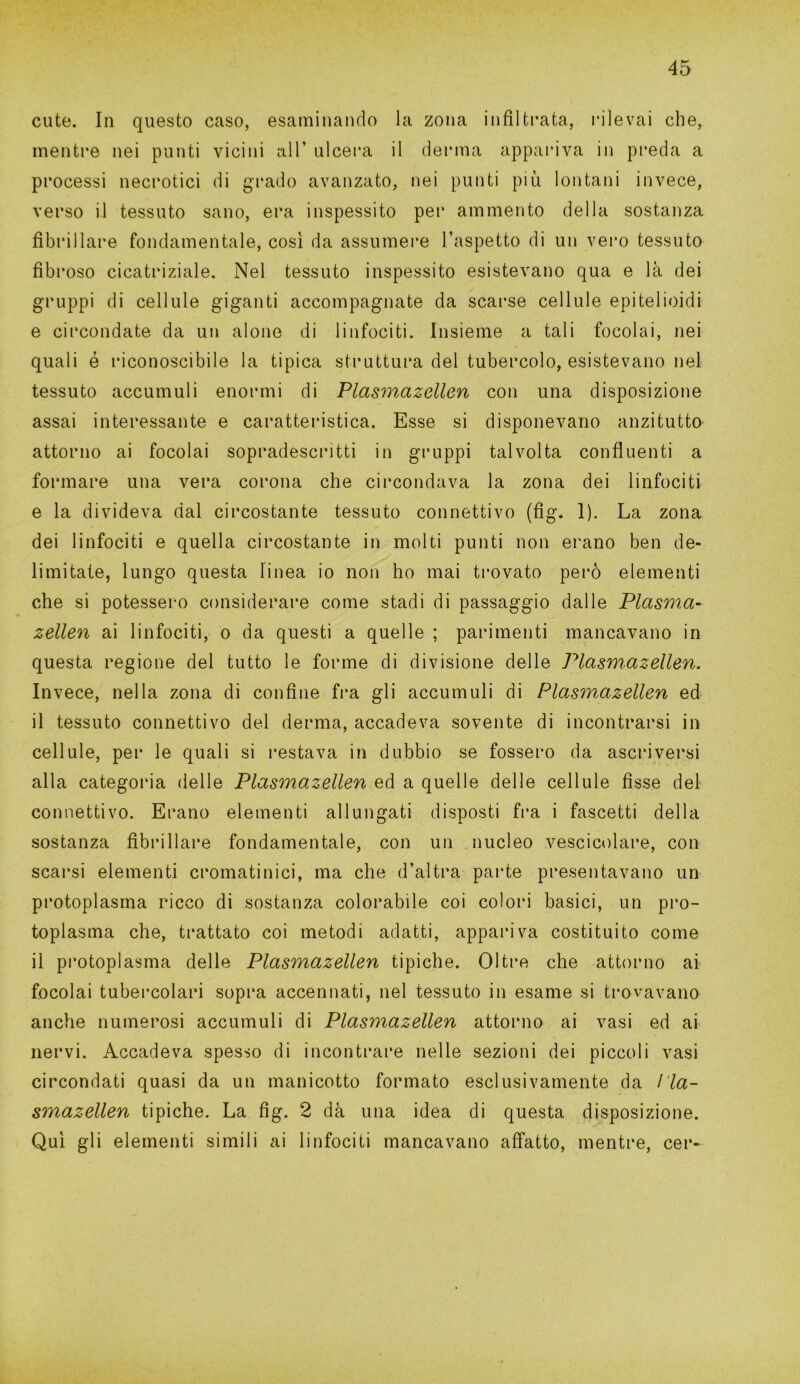 cute. In questo caso, esaminando la zona infiltrata, rilevai che, mentre nei punti vicini all’ ulcera il derma appariva in preda a processi necrotici di grado avanzato, nei punti più lontani invece, verso il tessuto sano, era inspessito per am mento della sostanza fibrillare fondamentale, così da assumere l’aspetto di un vero tessuto fibroso cicatriziale. Nel tessuto inspessito esistevano qua e là dei gruppi di cellule giganti accompagnate da scarse cellule epitelioidi e circondate da un alone di linfociti. Insieme a tali focolai, nei quali é riconoscibile la tipica struttura del tubercolo, esistevano nel tessuto accumuli enormi di Plasmazellen con una disposizione assai interessante e caratteristica. Esse si disponevano anzitutto attorno ai focolai sopradescritti in gruppi talvolta confluenti a formare una vera corona che circondava la zona dei linfociti e la divideva dal circostante tessuto connettivo (fìg. 1). La zona dei linfociti e quella circostante in molti punti non erano ben de- limitate, lungo questa linea io non ho mai trovato però elementi che si potessero considerare come stadi di passaggio dalle Plasma- zellen ai linfociti, o da questi a quelle ; parimenti mancavano in questa regione del tutto le forme di divisione delle Plasmazellen. Invece, nella zona di confine fra gli accumuli di Plasmazellen ed il tessuto connettivo del derma, accadeva sovente di incontrarsi in cellule, per le quali si restava in dubbio se fossero da ascriversi alla categoria delle Plasmazellen ed a quelle delle cellule fisse del connettivo. Erano elementi allungati disposti fra i fascetti della sostanza fibrillare fondamentale, con un nucleo vescicolare, con scarsi elementi cromatinici, ma che d’altra parte presentavano un protoplasma ricco di sostanza colorabile coi colori basici, un pro- toplasma che, trattato coi metodi adatti, appariva costituito come il protoplasma delle Plasmazellen tipiche. Oltre che attorno ai focolai tubercolari sopra accennati, nel tessuto in esame si trovavano anche numerosi accumuli di Plasmazellen attorno ai vasi ed ai nervi. Accadeva spesso di incontrare nelle sezioni dei piccoli vasi circondati quasi da un manicotto formato esclusivamente da l'ia- smazellen tipiche. La fìg. 2 dà una idea di questa disposizione. Qui gli elementi simili ai linfociti mancavano affatto, mentre, cer-