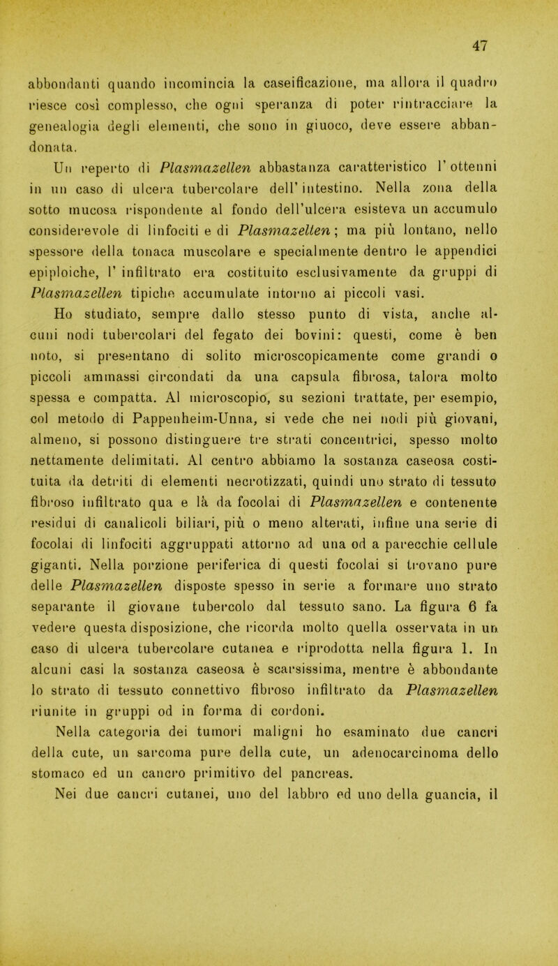 abbondanti quando incomincia la caseificazione, ma allora il quadro riesce così complesso, che ogni speranza di poter rintracciare la genealogia degli elementi, che sono in giuoco, deve essere abban- donata. Un reperto di Plasmazellen abbastanza caratteristico l’ottenni in un caso di ulcera tubercolare dell’ intestino. Nella zona della sotto mucosa rispondente al fondo dell’ulcera esisteva un accumulo considerevole di linfociti e di Plasmazellen ; ma più lontano, nello spessore della tonaca muscolare e specialmente dentro le appendici epiploiche, 1’ infiltrato era costituito esclusivamente da gruppi di Plasmazellen tipiche accumulate intorno ai piccoli vasi. Ho studiato, sempre dallo stesso punto di vista, anche al- cuni nodi tubercolari del fegato dei bovini: questi, come è ben noto, si presentano di solito microscopicamente come grandi o piccoli ammassi circondati da una capsula fibrosa, talora molto spessa e compatta. Al microscopio, su sezioni trattate, per esempio, col metodo di Pappenheim-Unna, si vede che nei nodi più giovani, almeno, si possono distinguere tre strati concentrici, spesso molto nettamente delimitati. Al centro abbiamo la sostanza caseosa costi- tuita da detriti di elementi necrotizzati, quindi uno strato di tessuto fibroso infiltrato qua e là da focolai di Plasmazellen e contenente residui di canalicoli biliari, più o meno alterati, infine una serie di focolai di linfociti aggruppati attorno ad una od a parecchie cellule giganti. Nella porzione periferica di questi focolai si trovano pure delle Plasmazellen disposte spesso in serie a formare uno strato separante il giovane tubercolo dal tessuto sano. La figura 6 fa vedere questa disposizione, che ricorda molto quella osservata in un. caso di ulcera tubercolare cutanea e riprodotta nella figura 1. In alcuni casi la sostanza caseosa è scarsissima, mentre è abbondante lo strato di tessuto connettivo fibroso infiltrato da Plasmazellen riunite in gruppi od in forma di cordoni. Nella categoria dei tumori maligni ho esaminato due cancri della cute, un sarcoma pure della cute, un adenocarcinoma dello stomaco ed un cancro primitivo del pancreas. Nei due cancri cutanei, uno del labbro ed uno della guancia, il