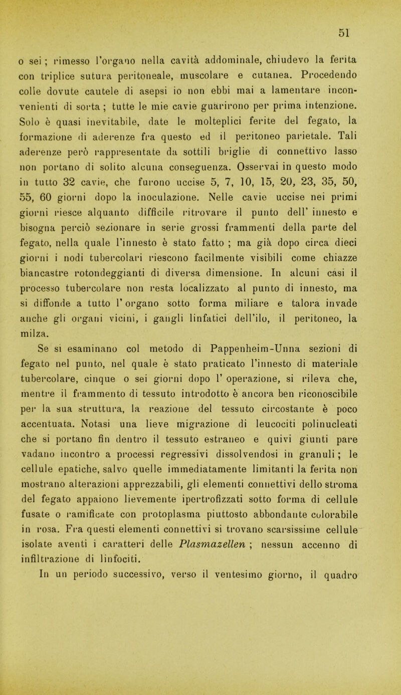 o sei ; rimesso Porgano nella cavità addominale, chiudevo la ferita con triplice sutura peritoneale, muscolare e cutanea. Procedendo colle dovute cautele di asepsi io non ebbi mai a lamentare incon- venienti di sorta ; tutte le mie cavie guarirono per prima intenzione. Solo è quasi inevitabile, date le molteplici ferite del fegato, la formazione di aderenze fra questo ed il peritoneo parietale. Tali aderenze però rappresentate da sottili briglie di connettivo lasso non portano di solito alcuna conseguenza. Osservai in questo modo in tutto 32 cavie, che furono uccise 5, 7, 10, 15, 20, 23, 35, 50, 55, 60 giorni dopo la inoculazione. Nelle cavie uccise nei primi giorni riesce alquanto diffìcile ritrovare il punto dell’ innesto e bisogna perciò sezionare in serie grossi frammenti della parte del fegato, nella quale l’innesto è stato fatto ; ma già dopo circa dieci giorni i nodi tubercolari riescono facilmente visibili come chiazze biancastre rotondeggianti di diversa dimensione. In alcuni casi il processo tubercolare non resta localizzato al punto di innesto, ma si diffonde a tutto l’organo sotto forma miliare e talora invade anche gli organi vicini, i gangli linfatici dell’ilo, il peritoneo, la milza. Se si esaminano col metodo di Pappenheim-Unna sezioni di fegato nel punto, nel quale è stato praticato l’innesto di materiale tubercolare, cinque o sei giorni dopo V operazione, si rileva che, mentre il frammento di tessuto introdotto è ancora ben riconoscibile per la sua struttura, la reazione del tessuto circostante è poco accentuata. Notasi una lieve migrazione di leucociti polinucleati che si portano fin dentro il tessuto estraneo e quivi giunti pare vadano incontro a processi regressivi dissolvendosi in granuli ; le cellule epatiche, salvo quelle immediatamente limitanti la ferita non mostrano alterazioni apprezzabili, gli elementi connettivi dello stroma del fegato appaiono lievemente ipertrofizzati sotto forma di cellule fusate o ramificate con protoplasma piuttosto abbondante colorabile in rosa. Fra questi elementi connettivi si trovano scarsissime cellule isolate aventi i caratteri delle Plasmazellen ; nessun accenno di infiltrazione di linfociti. In un periodo successivo, verso il ventesimo giorno, il quadro