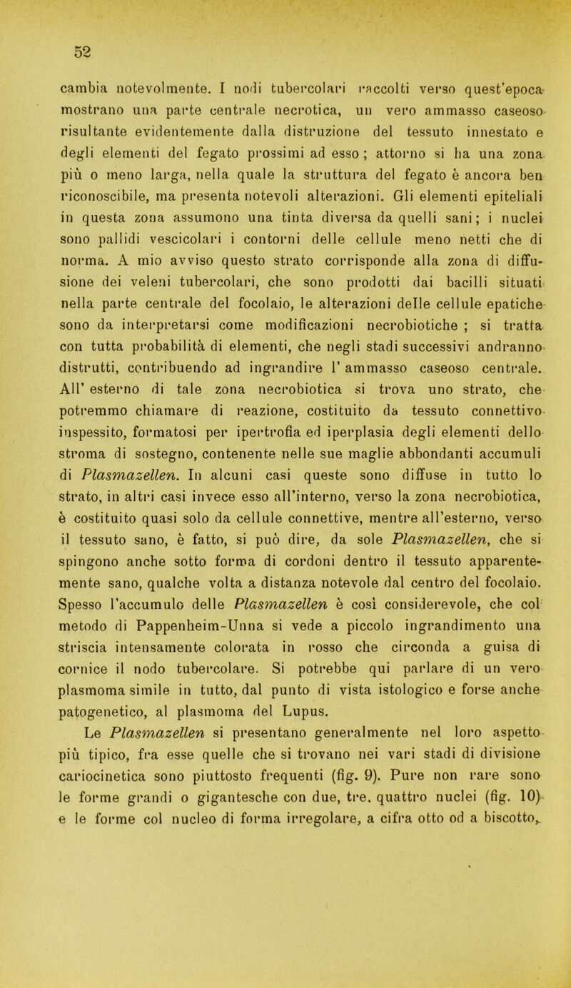 cambia notevolmente. I nodi tubercolari raccolti verso quest’epoca- mostrano una parte centrale necrotica, un vero ammasso caseoso' risultante evidentemente dalla distruzione del tessuto innestato e degli elementi del fegato prossimi ad esso ; attorno si ha una zona più o meno larga, nella quale la struttura del fegato è ancora ben riconoscibile, ma presenta notevoli alterazioni. Gli elementi epiteliali in questa zona assumono una tinta diversa da quelli sani; i nuclei sono pallidi vescicolari i contorni delle cellule meno netti che di norma. A mio avviso questo strato corrisponde alla zona di diffu- sione dei veleni tubercolari, che sono prodotti dai bacilli situati nella parte centrale del focolaio, le alterazioni delle cellule epatiche sono da interpretarsi come modificazioni necrobiotiche ; si tratta con tutta probabilità di elementi, che negli stadi successivi andranno distrutti, contribuendo ad ingrandire 1* ammasso caseoso centrale. All’ esterno di tale zona necrobiotica si trova uno strato, che potremmo chiamare di reazione, costituito da tessuto connettivo inspessito, formatosi per ipertrofia ed iperplasia degli elementi dello stroma di sostegno, contenente nelle sue maglie abbondanti accumuli di Plasmazellen. In alcuni casi queste sono diffuse in tutto lo strato, in altri casi invece esso all’interno, verso la zona necrobiotica, è costituito quasi solo da cellule connettive, mentre all’esterno, verso il tessuto sano, è fatto, si può dire, da sole Plasmazellen, che si spingono anche sotto forma di cordoni dentro il tessuto apparente- mente sano, qualche volta a distanza notevole dal centro del focolaio. Spesso l’accumulo delle Plasmazellen è così considerevole, che col metodo di Pappenheim-Unna si vede a piccolo ingrandimento una striscia intensamente colorata in rosso che circonda a guisa di cornice il nodo tubercolare. Si potrebbe qui parlare di un vero plasmoma simile in tutto, dal punto di vista istologico e forse anche patogenetico, al plasmoma del Lupus. Le Plasmazellen si presentano generalmente nel loro aspetto più tipico, fra esse quelle che si trovano nei vari stadi di divisione cariocinetica sono piuttosto frequenti (fig. 9). Pure non rare sono le forme grandi o gigantesche con due, tre, quattro nuclei (fig. 10) e le forme col nucleo di forma irregolare, a cifra otto od a biscotto,.