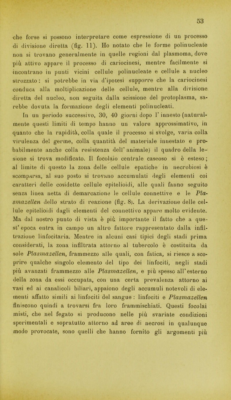 che forse si possono interpretare come espressione di un processo di divisione diretta (fig. 11). Ho notato che le forme polinucleate non si trovano generalmente in quelle regioni dal plasmoma, dove più attivo appare il processo di cariocinesi, mentre facilmente si incontrano in punti vicini cellule polinucleate e cellule a nucleo strozzato : si potrebbe in via d’ipotesi supporre che la cariocinesi conduca alla moltiplicazione delle cellule, mentre alla divisione diretta del nucleo, non seguita dalla scissione del protoplasma, sa- rebbe dovuta la formazione degli elementi polinucleati. In un periodo successivo, 30, 40 giorni dopo 1' innesto (natural- mente questi limiti di tempo hanno un valore approssimativo, in quanto che la rapidità, colla quale il processo si svolge, varia colla virulenza del germe, colla quantità del materiale innestato e pro- babilmente anche colla resistenza dell’animale) il quadro della le- sione si trova modificato. Il focolaio centrale caseoso si è esteso ; al limite di questo la zona delle cellule epatiche in necrobiosi è scomparsa, al suo posto si trovano accumulati degli elementi coi caratteri delle cosidette cellule epitelioidi, alle quali fanno seguito senza linea netta di demarcazione le cellule connettive e le Pla- smazellen dello strato di reazione (fig. 8). La derivazione delle cel- lule epitelioidi dagli elementi del connettivo appare molto evidente. Ma dal nostro punto di vista è più importante il fatto che a que- st’ epoca entra in campo un altro fattore rappresentato dalla infil- trazione linfocitaria. Mentre in alcuni casi tipici degli stadi prima considerati, la zona infiltrata attorno al tubercolo è costituita da sole Plasmazellen, frammezzo alle quali, con fatica, si riesce a sco- prire qualche singolo elemento del tipo dei linfociti, negli stadi più avanzati frammezzo alle Plasmazellen, e più spesso all’esterno della zona da essi occupata, con una certa prevalenza attorno ai vasi ed ai canalicoli biliari, appaiono degli accumuli notevoli di ele- menti affatto simili ai linfociti del sangue : linfociti e Plasmazellen finiscono quindi a trovarsi fra loro frammischiati. Questi focolai misti, che nel fegato si producono nelle più svariate condizioni sperimentali e sopratutto attorno ad aree di necrosi in qualunque modo provocate, sono quelli che hanno fornito gli argomenti più