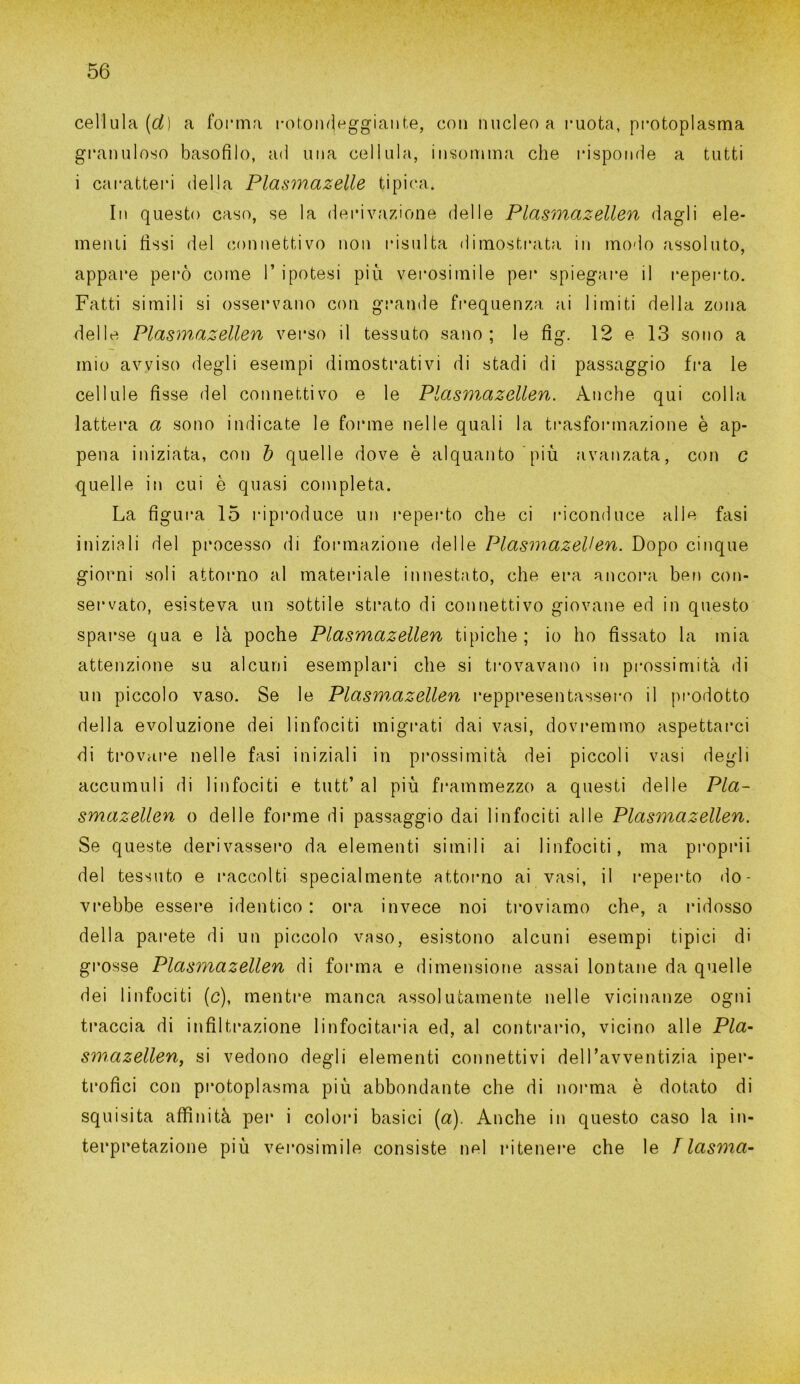 cellula (d) a forma rotondeggiante, con nucleo a ruota, protoplasma granuloso basofìlo, ad una cellula, insomma che risponde a tutti i caratteri della Plasmazelle tipica. In questo caso, se la derivazione delle Plasmazellen dagli ele- menti fissi del connettivo non risulta dimostrata in modo assoluto, appare però come l’ipotesi più verosimile per spiegare il reperto. Fatti simili si osservano con grande frequenza ai limiti della zona delle Plasmazellen verso il tessuto sano; le fig. 12 e 13 sono a mio avviso degli esempi dimostrativi di stadi di passaggio fra le cellule fisse del connettivo e le Plasmazellen. Anche qui colla latterà a sono indicate le forme nelle quali la trasformazione è ap- pena iniziata, con ò quelle dove è alquanto più avanzata, con c quelle in cui è quasi completa. La figura 15 riproduce un reperto che ci riconduce alle fasi iniziali del processo di formazione delle Plasmazellen. Dopo cinque giorni soli attorno al materiale innestato, che era ancora ben con- servato, esisteva un sottile strato di connettivo giovane ed in questo sparse qua e là poche Plasmazellen tipiche ; io ho fissato la mia attenzione su alcuni esemplari che si trovavano in prossimità di un piccolo vaso. Se le Plasmazellen reppresentassero il prodotto della evoluzione dei linfociti migrati dai vasi, dovremmo aspettarci di trovare nelle fasi iniziali in prossimità dei piccoli vasi degli accumuli di linfociti e tutt’ al più frammezzo a questi delle Pla- smazellen o delle forme di passaggio dai linfociti alle Plasmazellen. Se queste derivassero da elementi simili ai linfociti, ma proprii del tessuto e raccolti specialmente attorno ai vasi, il reperto do- vrebbe essere identico : ora invece noi troviamo che, a ridosso della parete di un piccolo vaso, esistono alcuni esempi tipici di grosse Plasmazellen di forma e dimensione assai lontane da quelle dei linfociti (c), mentre manca assolutamente nelle vicinanze ogni traccia di infiltrazione linfocitaria ed, al contrario, vicino alle Pla- smazellen, si vedono degli elementi connettivi dell’avventizia iper- trofici con protoplasma più abbondante che di norma è dotato di squisita affinità pei’ i colori basici (a). Anche in questo caso la in- terpretazione più verosimile consiste nel ritenere che le Tlasma-