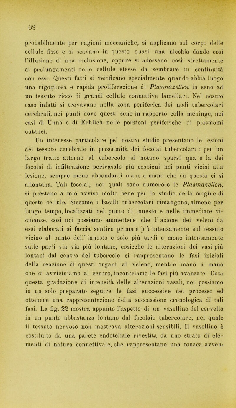 probabilmente per ragioni meccaniche, si applicano sul corpo delle cellule fìsse e si scavano in questo quasi una nicchia dando così l’illusione di una inclusione, oppure si adossano cosi strettamente ai prolungamenti delle cellule stesse da sembrare in continuità con essi. Questi fatti si verificano specialmente quando abbia luogo una rigogliosa e rapida proliferazione di Plasmazellen in seno ad un tessuto ricco di grandi cellule connettive lamellari. Nel nostro caso infatti si trovavano nella zona periferica dei nodi tubercolari cerebrali, nei punti dove questi sono in rapporto colla meninge, nei casi di Unna e di Erhlich nelle porzioni periferiche di plasmami cutanei. Un interesse particolare pel nostro studio presentano le lesioni del tessuto cerebrale in prossimità dei focolai tubercolari : per un largo tratto attornio al tubercolo si notano sparsi qua e là dei focolai di infiltrazione perivasale più cospicui nei punti vicini alla lesione, sempre meno abbondanti mano a mano che da questa ci si allontana. Tali focolai, nei quali sono numerose le Plasmazellen, si prestano a mio avviso molto bene pei- lo studio della origine di queste cellule. Siccome i bacilli tubercolari rimangono, almeno per lungo tempo, localizzati nel punto di innesto e nelle immediate vi- cinanze, così noi possiamo ammettere che V azione dei veleni da essi elaborati si faccia sentire prima e più intensamente sul tessuto vicino al punto dell’ innesto e solo più tardi e meno intensamente sulle parti via via più lontane, cosicché le alterazioni dei vasi più lontani dal centro del tubercolo ci rappresentano le fasi iniziali della reazione di questi organi al veleno, mentre mano a mano che ci avviciniamo al centro, incontriamo le fasi più avanzate. Data questa gradazione di intensità delle alterazioni vasali, noi possiamo in un solo preparato seguire le fasi successive del processo ed ottenere una rappresentazione della successione cronologica di tali fasi. La fig. 22 mostra appunto l’aspetto di un vasellino del cervello in un punto abbastanza lontano dal focolaio tubercolare, nel quale il tessuto nervoso non mostrava alterazioni sensibili. Il vasellino è costituito da una parete endoteliale rivestita da uno strato di ele- menti di natura connettivale, che rappresentano una tonaca avven-