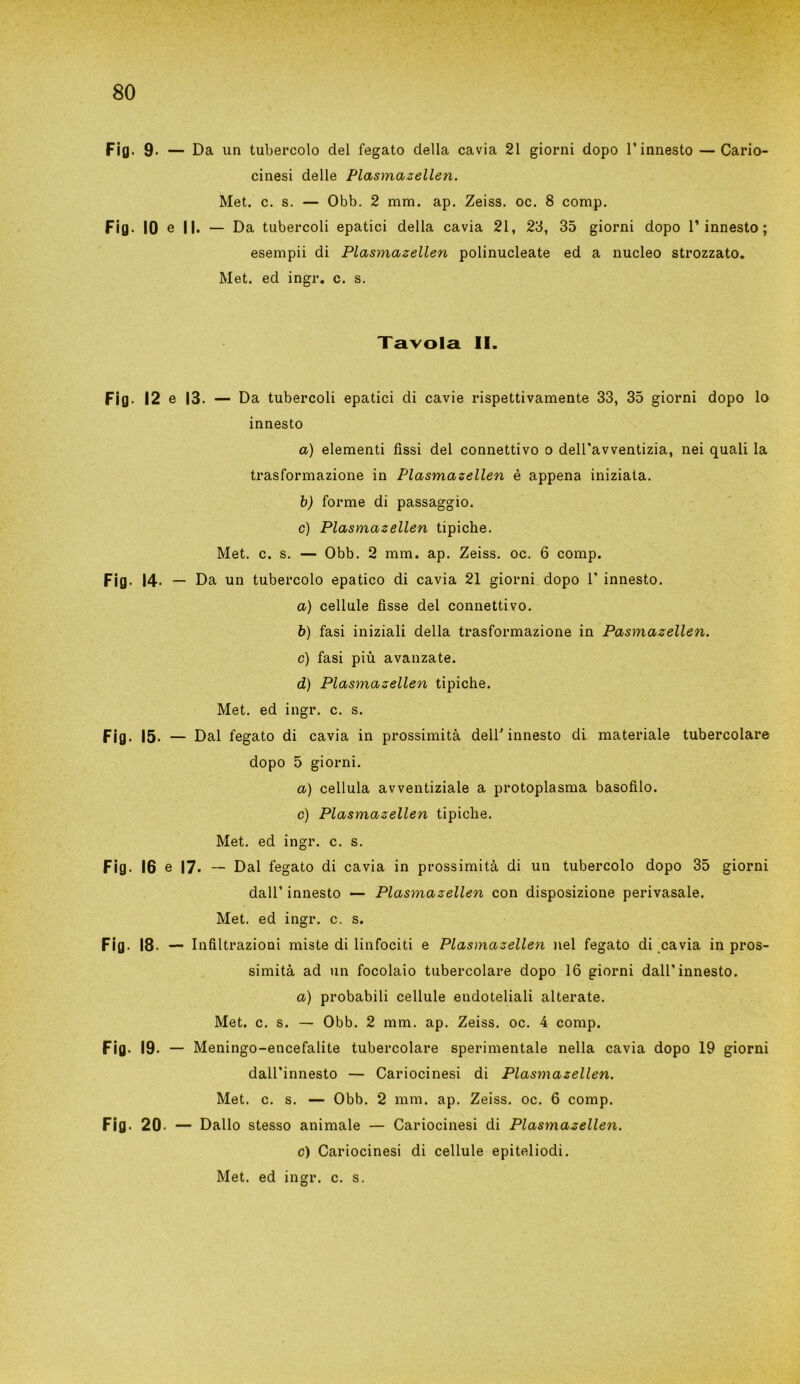 Fifl. 9- — Da un tubercolo del fegato della cavia 21 giorni dopo l’innesto — Cario- cinesi delle Plasmazellen. Met. c. s. — Obb. 2 mm. ap. Zeiss. oc. 8 comp. Fig. IO e II. — Da tubercoli epatici della cavia 21, 28, 35 giorni dopo l’innesto; esempii di Plasmazellen polinucleate ed a nucleo strozzato. Met. ed ingr. c. s. Tavola II. Fig. 12 e 13. — Da tubercoli epatici di cavie rispettivamente 33, 35 giorni dopo lo innesto a) elementi fissi del connettivo o dell'avventizia, nei quali la trasformazione in Plasmazellen è appena iniziata. b) forme di passaggio. c) Plasmazellen tipiche. Met. c. s. — Obb. 2 mm. ap. Zeiss. oc. 6 comp. Fig. 14- — Da un tubercolo epatico di cavia 21 giorni dopo 1' innesto. a) cellule fìsse del connettivo. b) fasi iniziali della trasformazione in Pasmazellen. c) fasi più avanzate. d) Plasmazellen tipiche. Met. ed ingr. c. s. Fig. 15. — Dal fegato di cavia in prossimità dell’ innesto di materiale tubercolare dopo 5 giorni. a) cellula avventiziale a protoplasma basofilo. c) Plasmazellen tipiche. Met. ed ingr. c. s. Fig. 16 e 17. — Dal fegato di cavia in prossimità di un tubercolo dopo 35 giorni dall’ innesto — Plasmazellen con disposizione perivasale. Met. ed ingr. c. s. Fig. 18. — Infiltrazioni miste di linfociti e Plasmazellen nel fegato di cavia in pros- simità ad un focolaio tubercolare dopo 16 giorni dall’innesto. a) probabili cellule endoteliali alterate. Met. c. s. — Obb. 2 mm. ap. Zeiss. oc. 4 comp. Fig. 19. — Meningo-encefalite tubercolare sperimentale nella cavia dopo 19 giorni dall’innesto — Cariocinesi di Plasmazellen. Met. c. s. — Obb. 2 mm. ap. Zeiss. oc. 6 comp. Fig. 20. — Dallo stesso animale — Cariocinesi di Plasmazellen. c) Cariocinesi di cellule epiteliodi. Met. ed ingr. c. s.