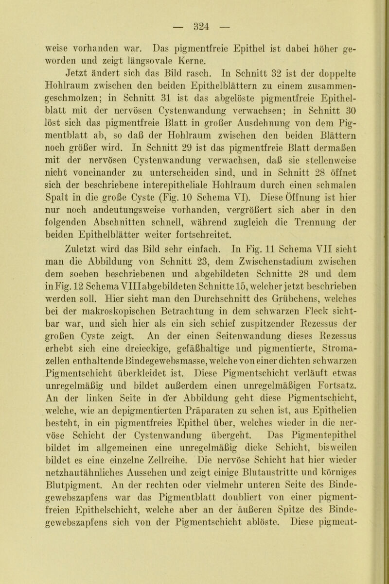 weise vorhanden war. Das pigmentfreie Epithel ist dabei höher ge- worden und zeigt längsovale Kerne. Jetzt ändert sich das Bild rasch. In Schnitt 32 ist der doppelte Hohlraum zwischen den beiden Epithelblättern zu einem zusammen- geschmolzen; in Schnitt 31 ist das abgelöste pigmentfreie Epithel- blatt mit der nervösen Cystenwandung verwachsen; in Schnitt 30 löst sich das pigmentfreie Blatt in großer Ausdehnung von dem Pig- mentblatt ab, so daß der Hohlraum zwischen den beiden Blättern noch größer wird. In Schnitt 29 ist das pigmentfreie Blatt dermaßen mit der nervösen Cystenwandung verwachsen, daß sie stellenweise nicht voneinander zu unterscheiden sind, und in Schnitt 28 öffnet sich der beschriebene interepitheliale Hohlraum durch einen schmalen Spalt in die große Cyste (Fig. 10 Schema VI). Diese Öffnung ist hier nur noch andeutungsweise vorhanden, vergrößert sich aber in den folgenden Abschnitten schnell, während zugleich die Trennung der beiden Epithelblätter weiter fortschreitet. Zuletzt wird das Bild sehr einfach. In Fig. 11 Schema VII sieht man die Abbildung von Schnitt 23, dem Zwischenstadium zwischen dem soeben beschriebenen und abgebildeten Schnitte 28 und dem in Fig. 12 Schema Vlllabgebildeten Schnittelö, welcher jetzt beschrieben werden soll. Hier sieht man den Durchschnitt des Grübchens, welches bei der malcroskopischen Betrachtung in dem schwarzen Fleck sicht- bar war, und sich hier als ein sich schief zuspitzender Bezessus der großen Cyste zeigt. An der einen Seitenwandung dieses Bezessus erhebt sich eine dreieckige, gefäßhaltige und pigmentierte, Stroma- zellen enthaltende Bindegewebsmasse, welche von einer dichten schwarzen Pigmentschicht überkleidet ist. Diese Pigmentschicht verläuft etwas umegelmäßig und bildet außerdem einen unregelmäßigen Fortsatz. An der linken Seite in d'er Abbildung geht diese Pigmentschicht, welche, wie an depigmentierten Präparaten zu sehen ist, ans Epithelien besteht, in ein pigmentfreies Epithel über, welches wieder in die ner- vöse Schicht der Cystenwandung übergeht. Das Pigmentepithel bildet im allgemeinen eine unregelmäßig dicke Schicht, bisweilen bildet es eine einzelne Zellreihe. Die nervöse Schicht hat hier wieder netzhautähnliches Aussehen und zeigt einige Blutanstritte und körniges Blutpigment. An der rechten oder vielmehr unteren Seite des Binde- gewebszapfens war das Pigmentblatt doubliert von einer pigment- freien Epithelschicht, welche aber an der äußeren Spitze des Binde- gewebszapfens sich von der Pigmentschicht ablöste. Diese pigmeat-