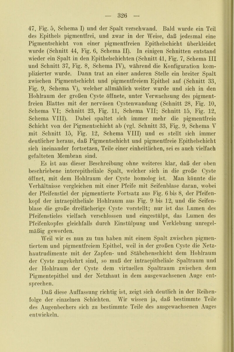 47, Fig. 5, Schema I) und der Spalt verschwand. Bald wurde ein Teil des Epithels pigmentfrei, und zwar in der Weise, daß jedesmal eine Pigmentschicht von einer pigmentfreien Epithelschicht überkleidet wurde (Schnitt 44, Fig. 6, Schema II). In einigen Schnitten entstand wieder ein Spalt in den Epithelschichten (Schnitt 41, Fig. 7, Schema III und Schnitt 37, Fig. 8, Schema IV), während die Konfiguration kom- plizierter wurde. Dann trat an einer anderen Stelle ein breiter Spalt zwischen Pigmentschicht und pigmentfreiem Epithel auf (Schnitt 33, Fig. 9, Schema V), welcher allmählich weiter wurde und sich in den Hohlraum der großen Cyste öffnete, unter Verwachsung des pigment- freien Blattes mit der nervösen Cystenwandung (Schnitt 28, Fig. 10, Schema VI; Schnitt 23, Fig. 11, Schema VII; Schnitt 15, Fig. 12, Schema VIII). Dabei spaltet sich immer mehr die pigmentfreie Schicht von der Pigmentschicht ab (vgl. Schnitt 33, Fig. 9, Schema V mit Schnitt 15, Fig. 12, Schema VIII) und es stellt sich immer deutlicher heraus, daß Pigmentschicht und pigmentfreie Epithelschicht sich ineinander fortsetzen, Teile einer einheitlichen, sei es auch vielfach gefalteten Membran sind. Es ist aus dieser Beschreibung ohne weiteres klar, daß der oben beschriebene interepitheliale Spalt, welcher sich in die große Cyste öffnet, mit dem Hohlraum der Cyste homolog ist. Man könnte die Verhältnisse vergleichen mit einer Pfeife mit Seifenblase daran, wobei der Pfeifenstiel der pigmentierte Fortsatz aus Fig. 6 bis 8, der Pfeifen- kopf der intraepitheliale Hohlraum aus Fig. 9 bis 12, und die Seifen- blase die große dreifächerige Cyste vorstellt; nur ist das Lumen des Pfeifenstieles vielfach verschlossen und eingestülpt, das Lumen des Pfeifenkopfes gleichfalls durch Einstülpung und Verklebung unregel- mäßig geworden. Weil wir es nun zu tun haben mit einem Spalt zwischen pigmen- tiertem und pigmentfreiem Epithel, weil in der großen Cyste die Netz- hautrudimente mit der Zapfen- und Stäbchenschicht dem Hohlraum der Cyste zugekehrt sind, so muß der intraepitheliale Spaltraum und der Hohlraum der Cyste dem virtuellen Spaltraum zwischen dem Pigmentepithel und der Netzhaut in dem ausgewachsenen Auge ent- sprechen. Daß diese Auffassung richtig ist, zeigt sich deutlich in der Beihen- folge der einzelnen Schichten. Wir wissen ja, daß bestimmte Teile des Augenbechers sich zu bestimmte Teile des ausgewachseneu Auges entwickeln.