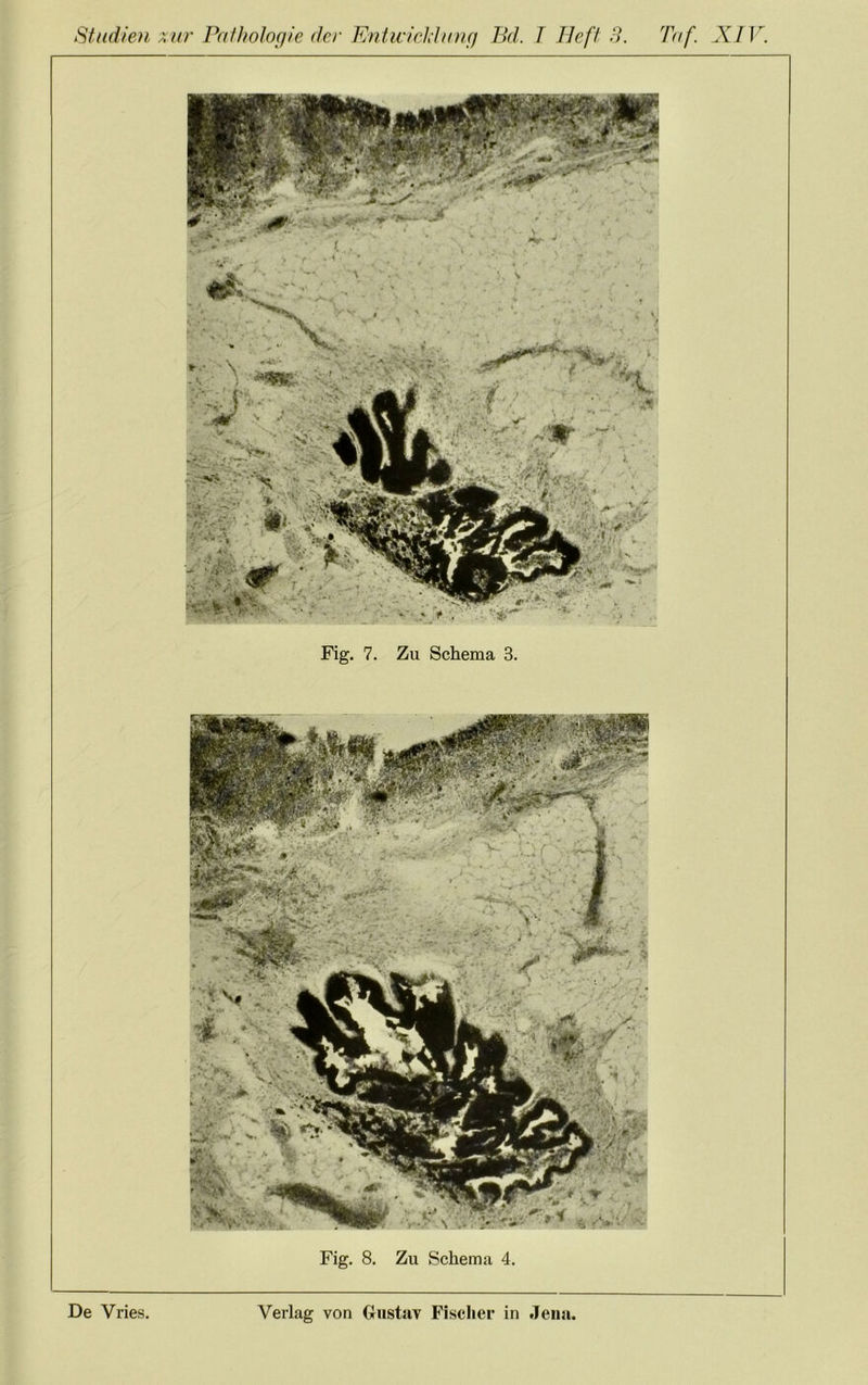 Fig. 7. Fig. 8. Zu Schema 3. Zu Schema 4.