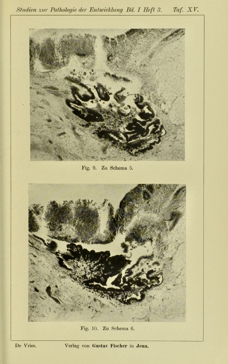 Fig. 9. Zu Schema 5. Fig. 10. Zu Schema 6.