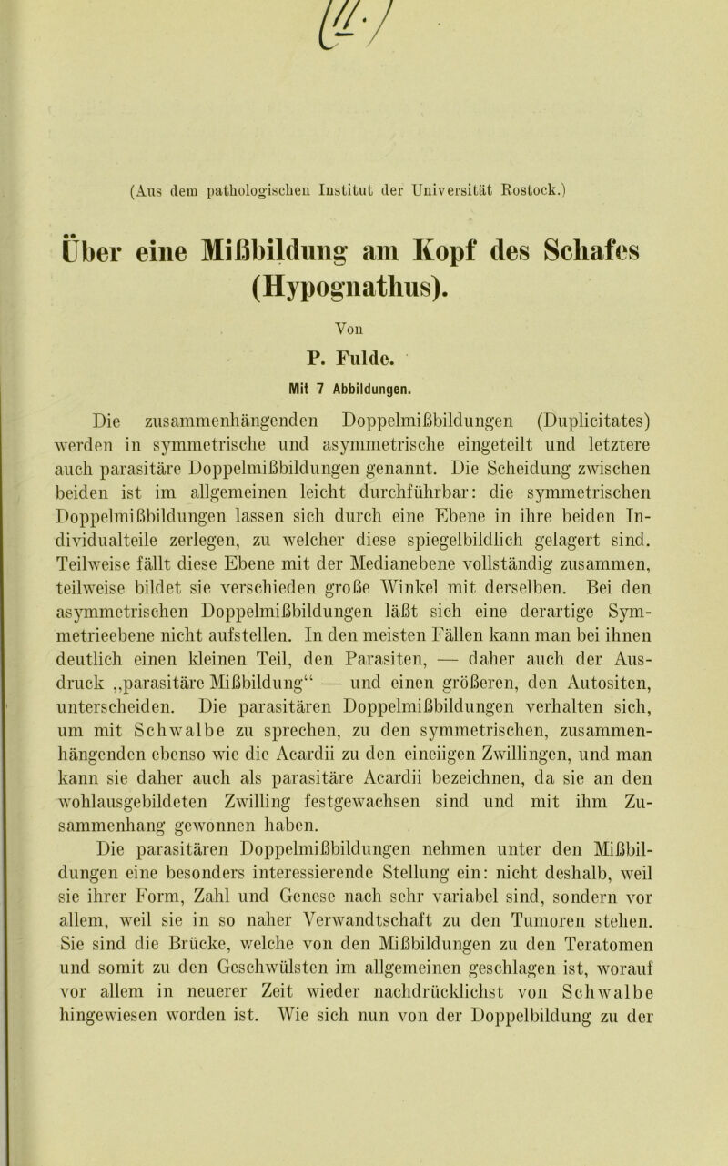 (Aus dem pathologischen Institut der Universität Rostock.) über eine Mißbildung am Kopf des Schafes (Hypognathus). Von P. Fulde. Mit 7 Abbildungen. Die zusammenhängenden Doppelmißbildungen (Duplicitates) Averden in symmetrische und asymmetrische eingeteilt und letztere auch parasitäre Doppelmißbildungen genannt. Die Scheidung zwischen beiden ist im allgemeinen leicht durchführbar: die symmetrischen Doppelmißbildnngen lassen sich durch eine Ebene in ihre beiden In- dividualteile zerlegen, zu welcher diese spiegelbildlich gelagert sind. Teilweise fällt diese Ebene mit der Medianebene vollständig zusammen, teilweise bildet sie verschieden große Winkel mit derselben. Bei den asymmetrischen Doppelmißbildungen läßt sich eine derartige Sym- metrieebene nicht aufstellen. In den meisten Fällen kann man bei ihnen deutlich einen Meinen Teil, den Parasiten, — daher auch der Aus- druck ,,parasitäre Mißbildung“ — und einen größeren, den Autositen, unterscheiden. Die parasitären Doppelmißbildungen verhalten sich, um mit Schwalbe zu sprechen, zu den symmetrischen, zusammen- hängenden ebenso wie die Acardii zu den eineiigen Zwillingen, und man kann sie daher auch als parasitäre Acardii bezeichnen, da sie an den wohlausgebildeten Zwilling festgewachsen sind und mit ihm Zu- sammenhang gewonnen haben. Die parasitären Doppelmißbildungen nehmen unter den Mißbil- dungen eine besonders interessierende Stellung ein: nicht deshalb, weil sie ihrer Form, Zahl und Genese nach sehr variabel sind, sondern vor allem, weil sie in so naher Verwandtschaft zu den Tumoren stehen. Sie sind die Brücke, welche von den Mißbildungen zu den Teratomen und somit zu den Geschwülsten im allgemeinen geschlagen ist, worauf vor allem in neuerer Zeit wieder nachdrücklichst von Schwalbe hingewiesen worden ist. Wie sich nun von der Doppelbildung zu der