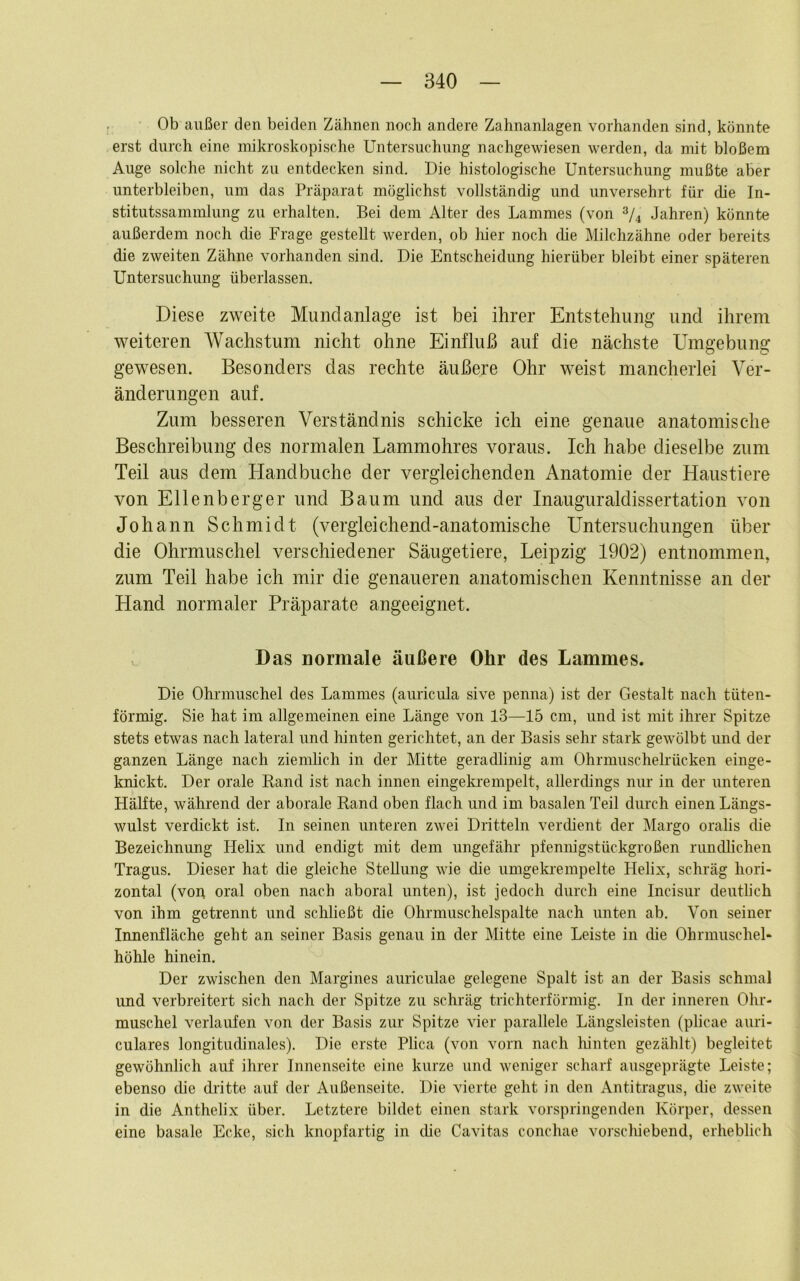 Ob außer den beiden Zähnen noch andere Zahnanlagen vorhanden sind, könnte erst durch eine mikroskopische Untersuchung nachgewiesen werden, da mit bloßem Auge solche nicht zu entdecken sind. Die histologische Untersuchung mußte aber unterbleiben, um das Präparat möglichst vollständig und unversehrt für die In- stitutssammlung zu erhalten. Bei dem Alter des Lammes (von Jahren) könnte außerdem noch die Frage gestellt werden, ob hier noch che Milchzähne oder bereits die zweiten Zähne vorhanden sind. Die Entscheidung hierüber bleibt einer späteren Untersuchung überlassen. Diese zweite Mundanlage ist bei ihrer Entstehung und ihrem weiteren Wachstum nicht ohne Einfluß auf die nächste Umgebung gewesen. Besonders das rechte äußere Ohr weist mancherlei Ver- änderungen auf. Zum besseren Verständnis schicke ich eine genaue anatomische Beschreibung des normalen Lammohres voraus. Ich habe dieselbe zum Teil aus dem Handbuche der vergleichenden Anatomie der Haustiere von Ellenberger und Baum und aus der Inauguraldissertation von Johann Schmidt (vergleichend-anatomische Untersuchungen über die Ohrmuschel verschiedener Säugetiere, Leipzig 1902) entnommen, zum Teil habe ich mir die genaueren anatomischen Kenntnisse an der Hand normaler Präparate angeeignet. Das normale äußere Ohr des Lammes. Die Ohrmuschel des Lammes (auricula sive penna) ist der Gestalt nach tüten- förmig. Sie hat im allgemeinen eine Länge von 13—15 cm, und ist mit ihrer Spitze stets etwas nach lateral und hinten gerichtet, an der Basis sehr stark gewölbt und der ganzen Länge nach ziemlich in der Mitte geradlinig am Ohrmuschelrücken einge- knickt. Der orale Rand ist nach innen eingeki’empelt, allerdings nur in der unteren Hälfte, während der aborale Rand oben flach und im basalen Teil durch einen Längs- wulst verdickt ist. In seinen unteren zwei Dritteln verdient der Margo oralis die Bezeichnung Helix und endigt mit dem ungefähr pfennigstückgroßen rundlichen Tragus. Dieser hat die gleiche Stellung wie die umgekrempelte Helix, schräg hori- zontal (vop oral oben nach aboral unten), ist jedoch durch eine Incisur deutlich von ihm getrennt und schließt die Ohrmuschelspalte nach unten ab. Von seiner Iimenfläche geht an seiner Basis genau in der Mitte eine Leiste in die Ohrmuschel- höhle hinein. Der zwischen den Margines auriculae gelegene Spalt ist an der Basis schmal und verbreitert sich nach der Spitze zu schräg trichterförmig. In der inneren Ohr- muschel verlaufen von der Basis zur Spitze vier parallele Längsleisten (plicae auri- culares longitudinales). Die erste Plica (von vorn nach hinten gezählt) begleitet gewöhnlich auf ihrer Innenseite eine kurze und weniger scharf ausgeprägte Leiste; ebenso die dritte auf der Außenseite. Die vierte geht in den Antitragus, die zweite in die Anthelix über. Letztere bildet einen stark vorspringenden Körper, dessen eine basale Ecke, sich knopfartig in die Cavitas conchae vorschiebend, erheblich