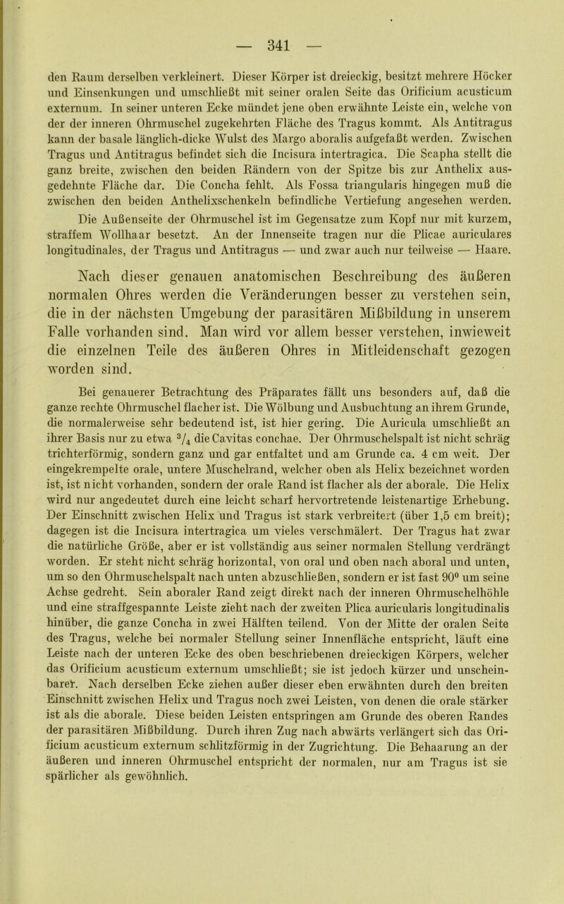 den Raum derselben verkleinert. Dieser Körper ist dreieckig, besitzt mehrere Hücker und Einsenkungen und umschließt mit seiner oralen Seite das Orificium acusticum externum. In seiner unteren Ecke mündet jene oben erwähnte Leiste ein, welche von der der inneren Ohrmuschel zugekehrten Fläche des Tragus kommt. Als Antitragus kann der basale länglich-dicke Wulst des Margo aboralis aufgefaßt werden. Zwischen Tragus und Antitragus befindet sich die Incisura intertragica. Die Scapha stellt die ganz breite, zwischen den beiden Rändern von der Spitze bis zur Anthelix aus- gedehnte Fläche dar. Die Concha fehlt. Als Fossa triangularis hingegen muß die zwischen den beiden Anthelixschenkeln befindliche Vertiefung angesehen werden. Die Außenseite der Ohrmuschel ist im Gegensätze zum Kopf nur mit kurzem, straffem Wollhaar besetzt. An der Innenseite tragen nur die Plicae auriculares longitudinales, der Tragus und Antitragus — und zwar auch nur teilweise — Haare. Nach dieser genauen anatomischen Beschreibung des äußeren normalen Ohres werden die Veränderungen besser zu verstehen sein, die in der nächsten Umgebung der parasitären Mißbildung in unserem Falle vorhanden sind. Man wird vor allem besser verstehen, inwieweit die einzelnen Teile des äußeren Ohres in Mitleidenschaft gezogen worden sind. Bei genauerer Betrachtung des Präparates fällt uns besonders auf, daß die ganze rechte Ohrmuschel flacher ist. Die Wölbung und Ausbuchtung an ihrem Grunde, die normalerweise sehr bedeutend ist, ist hier gering. Die Auricula umschließt an ihrer Basis nur zu etwa 2/4 die Cavitas conchae. Der Ohrmuschelspalt ist nicht schräg trichterförmig, sondern ganz und gar entfaltet und am Grunde ca. 4 cm weit. Der eingekrempelte orale, untere Muschelrand, welcher oben als Helix bezeichnet worden ist, ist nicht vorhanden, sondern der orale Rand ist flacher als der aborale. Die Helix wird nur angedeutet diu'ch eine leicht scharf hervortretende leistenartige Erhebung. Der Einschnitt zwischen Helix und Tragus ist stark verbreitert (über 1,5 cm breit); dagegen ist die Incisura intertragica um vieles verschmälert. Der Tragus hat zwar die natürliche Größe, aber er ist vollständig aus seiner normalen Stellung verdrängt worden. Er steht nicht schräg horizontal, von oral und oben nach aboral und unten, um so den Ohrmuschelspalt nach unten abzuschließen, sondern er ist fast 90° um seine Achse gedreht. Sein aboraler Rand zeigt direkt nach der inneren Ohrmuschelhöhle und eine straff gespannte Leiste zieht nach der zweiten Plica auricularis longitudinalis hinüber, die ganze Concha in zwei Hälften teilend. Von der Mitte der oralen Seite des Tragus, welche bei normaler Stellung seiner Innenfläche entspricht, läuft eine Leiste nach der unteren Ecke des oben beschriebenen dreieckigen Körpers, welcher das Orificium acusticum externum umschließt; sie ist jedoch küi'zer und unschein- bareir. Nach derselben Ecke ziehen außer dieser eben erwähnten durch den breiten Einschnitt zwischen Helix und Tragus noch zwei Leisten, von denen die orale stärker ist als die aborale. Diese beiden Leisten entspringen am Grunde des oberen Randes der parasitären Mißbildung. Durch ihren Zug nach abwärts verlängert sich das Ori- ficium acusticum externum schlitzförmig in der Zugrichtung. Die Behaarung an der äußeren und inneren Ohrmuschel entspricht der normalen, nur am Tragus ist sie spärlicher als gewöhnlich.