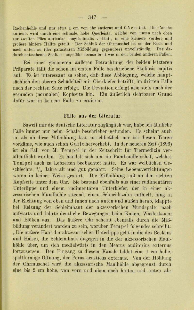 Rachenhöhle und nur etwa 1 cm von ihr entfernt und 0,5 cm tief. Die Concha auricula wird durch eine schmale, hohe Querleiste, welche von unten nach oben zur zweiten Plica auriculae longitudinalis verläuft, in eine kleinere vordere und größere hintere HäKte geteilt. Der Schluß der Ohrmuschel ist an der Basis und nach unten zu (der parasitären Mißbildung gegenüber) unvollständig. Der da- diu'cli entstehende Spalt ist ungefähr ebenso breit wie in den beiden anderen Fällen, Bei einer genaueren äußeren Betrachtung der beiden letzteren Präparate fällt die schon im ersten Falle beschriebene Skoliosis capitis auf. Es ist interessant zu sehen, daß diese Abbiegung, welche haupt- sächlich den oberen Schädelteil mit Oberldefer betrifft, im dritten Falle nach der rechten Seite erfolgt. Die Deviation erfolgt also stets nach der gesunden (normalen) Kopfseite hin. Ein äußerlich sichtbarer Grund dafür war in keinem Falle zu eruieren. Fälle aus der Literatur. Soweit mir die deutsche Literatur zugänglich war, habe ich ähnliche Fälle immer nur beim Schafe beschrieben gefunden. Es scheint auch so, als ob diese Mißbildung fast ausschließlich nur bei diesen Tieren vorkäme, wie auch schon Gurlt hervorhebt. In der neueren Zeit (1896) ist ein Fall von M. Tempel in der Zeitschrift für Tiermedizin ver- öffentlicht worden. Es handelt sich um ein Bambouilletschaf, welches Tempel auch zu Lebzeiten beobachtet hatte. Es war weiblichen Ge- schlechts, Jahre alt und gut genährt. Seine Lebensverrichtungen waren in keiner Weise gestört. Die Mißbildung saß an der rechten Kopfseite unter dem Ohr. Sie bestand ebenfalls aus einer rudimentären Unterlippe und einem rudimentären Unterkiefer, der in einer ak- zessorischen Mundhöhle sitzend, einen Schneidezahn enthielt, hing in der Kichtung von oben und innen nach unten und außen herab, klappte bei Beizung der Schleimhaut der akzessorischen Mundspalte nach aufwärts und führte deutliche Bewegungen beim Kauen, Wiederkauen und Blöken aus. Das äußere Ohr scheint ebenfalls durch die Miß- bildung verändert worden zu sein, worüber Tempel folgendes schreibt: ,,Die äußere Haut der akzessorischen Unterlippe geht in die des Beckens und Halses, die Schleimhaut dagegen in die der akzessorischen Maul- höhle über, um sich medialwärts in den Meatus auditorius externus fortzusetzen. Den Eingang zu diesem Kanäle bildet eine 1 cm hohe, spaltförmige Öffnung, der Porus acusticus externus. Von der Höhlung der Ohrmuschel wird die akzessorische Maulhöhle abgegrenzt durch eine bis 2 cm hohe, von vorn und oben nach hinten und unten ab-