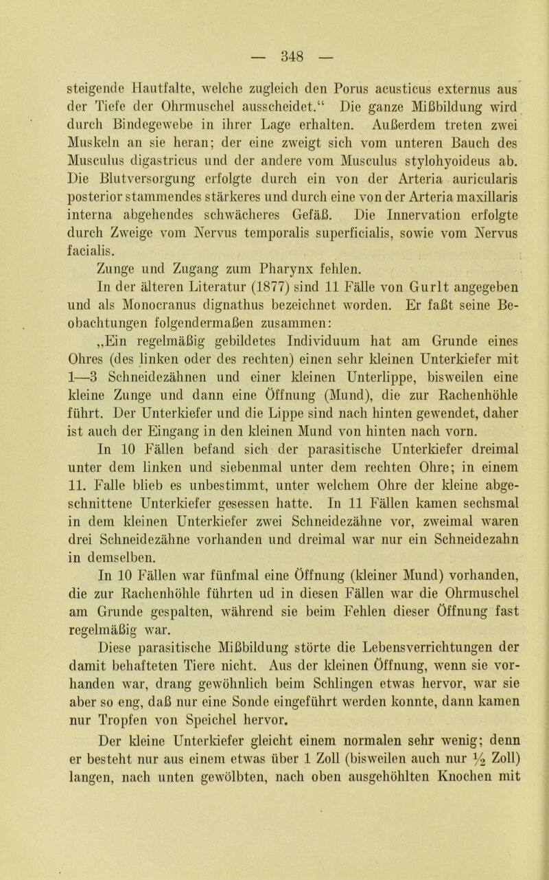 steigende Haiitfalte, welche zugleich den Poms acusticus externus aus der Tiefe der Ohrmuschel ausscheidet.“ Die ganze Mißbildung wird durch Bindegewebe in ihrer Lage erhalten. Außerdem treten zwei Muskeln an sie heran; der eine zweigt sich vom unteren Bauch des Musculus digastricus und der andere vom Musculus stylohyoideus ab. Die Blutversorgung erfolgte durch ein von der Arteria auricularis posterior stammendes stärkeres und durch eine von der Arteria maxillaris interna abgehendes schwächeres Gefäß. Die Innervation erfolgte durch Zweige vom Nervus temporalis superficialis, sowie vom Nervus facialis. Zunge und Zugang zum Pharynx fehlen. In der älteren Literatur (1877) sind 11 Fälle von Gurlt angegeben und als Monocranus dignathus bezeichnet worden. Er faßt seine Be- obachtungen folgendermaßen zusammen: ,,Ein regelmäßig gebildetes Individuum hat am Grunde eines Ohres (des linken oder des rechten) einen sehr kleinen Unterkiefer mit 1—3 Schneidezähnen und einer Meinen Unterlippe, bisweilen eine kleine Zunge und dann eine Öffnung (Mund), die zur Kachenhöhle führt. Der UnterMefer und die Lippe sind nach hinten gewendet, daher ist auch der Eingang in den Meinen Mund von hinten nach vorn. In 10 Fällen befand sich der parasitische UnterMefer dreimal unter dem linken und siebenmal unter dem rechten Ohre; in einem 11. Falle blieb es unbestimmt, unter welchem Ohre der Meine abge- schnittene Unterkiefer gesessen hatte. In 11 Fällen kamen sechsmal in dem kleinen Unterkiefer zwei Schneidezähne vor, zweimal waren drei Schneidezähne vorhanden und dreimal war nur ein Schneidezahn in demselben. In 10 Fällen war fünfmal eine Öffnung (kleiner Mund) vorhanden, die zur Rachenhöhle führten ud in diesen Fällen war die Ohrmuschel am Grunde gespalten, während sie beim Fehlen dieser Öffnung fast regelmäßig war. Diese parasitische Mißbildung störte die Lebensverrichtungen der damit behafteten Tiere nicht. Aus der Meinen Öffnung, wenn sie vor- handen war, drang gewöhnlich beim Schlingen etwas hervor, war sie aber so eng, daß nur eine Sonde eingeführt werden konnte, dann kamen nur Tropfen von Speichel hervor. Der Meine UnterMefer gleicht einem normalen sehr wenig; denn er besteht nur aus einem etwas über 1 Zoll (bisweilen auch nur V2 Zoll) langen, nach unten gewölbten, nach oben ausgehöhlten Knochen mit