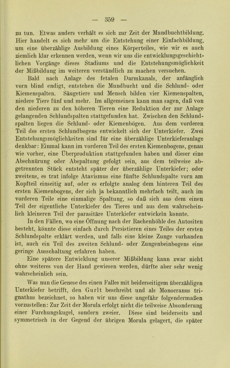 zu tun. Etwas anders verhält es sich zur Zeit der Mundbuchtbildung. Hier handelt es sich mehr um die Entstehung einer Einfachbildung, um eine überzählige Ausbildung eines Körperteiles, wie wir es auch ziemlich klar erkennen werden, wenn wir uns die entwicklungsgeschicht- lichen Vorgänge dieses Stadiums und die Entstehungsmöglichkeit der Mißbildung im weiteren verständlich zu machen versuchen. Bald nach Anlage des fetalen Darmkanals, der anfänglich vorn blind endigt, entstehen die Mundbucht und die Schlund- oder Kiemenspalten. Säugetiere und Mensch bilden vier Kiemenspalten, niedere Tiere fünf und mehr. Im allgemeinen kann man sagen, daß von den niederen zu den höheren Tieren eine Reduktion der zur Anlage gelangenden Schhmdspalten stattgefunden hat. Zwischen den Schlund- spalten liegen die Schlund- oder Kiemenbögen. Aus dem vorderen Teil des ersten Schlundbogens entwickelt sich der Unterldefer. Zwei Entstehungsmöglichkeiten sind für eine überzählige Unterkieferanlage denkbar: Einmal kann im vorderen Teil des ersten Kiemenbogens, genau wie vorher, eine Überproduktion stattgefunden haben und dieser eine Abschnüi’ung oder Abspaltung gefolgt sein, aus dem teilweise ab- getrennten Stück entsteht später der überzählige Unterkiefer; oder zweitens, es trat infolge Atavismus eine fünfte Schlundspalte vorn am Kopfteil einseitig auf, oder es erfolgte analog dem hinteren Teil des ersten Kiemenbogens, der sich ja bekanntlich mehrfach teilt, auch im vorderen Teile eine einmalige Spaltung, so daß sich aus dem einen Teil der eigentliche Unterldefer des Tieres und aus dem wahrschein- lich kleineren Teil der parasitäre Unterkiefer entwickeln konnte. In den Fällen, wo eine Öffnung nach der Rachenhöhle des Autositen besteht, könnte diese einfach durch Persistieren eines Teiles der ersten Schhmdspalte erklärt werden, und falls eine Meine Zunge vorhanden ist, auch ein Teil des zweiten Schlund- oder Zungenbeinbogens eine geringe Ausschaltung erfahren haben. Eine spätere EntwicMung unserer Mißbildung kann zwar nicht ohne weiteres von der Hand gewiesen werden, dürfte aber sehr wenig wahrscheinlich sein. Was nun die Genese des einen Falles mit beiderseitigem überzähligen Unterkiefer betrifft, den Gurlt beschreibt und als Monocranus tri- gnathus bezeichnet, so haben wir uns diese ungefähr folgendermaßen vorzustellen: Zur Zeit der Morula erfolgt nicht die teilweise Absonderung einer Furchungslmgel, sondern zweier. Diese sind beiderseits und symmetrisch in der Gegend der übrigen Morula gelagert, die später