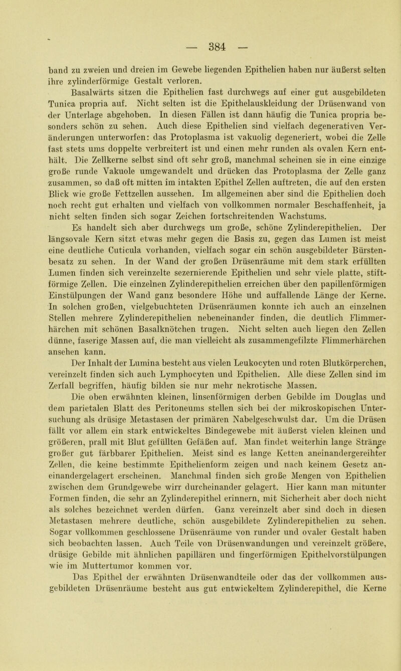 band zu zweien und dreien im Gewebe liegenden Epithelien haben nur äußerst selten ihre zylinderförmige Gestalt verloren. Basalwärts sitzen die Epithelien fast durchwegs auf einer gut ausgebildeten Tunica propria auf. Nicht selten ist die Epithelauskleidung der Drüsenwand von der Unterlage abgehoben. In diesen Fällen ist dann häufig die Tunica propria be- sonders schön zu sehen. Auch diese Epithelien sind vielfach degenerativen Ver- änderungen unterworfen: das Protoplasma ist vakuolig degeneriert, wobei die Zelle fast stets ums doppelte verbreitert ist und einen mehr runden als ovalen Kern ent- hält. Die Zellkerne selbst sind oft sehr groß, manchmal scheinen sie in eine einzige große runde Vakuole umgewandelt und drücken das Protoplasma der Zelle ganz zusammen, so daß oft mitten im intakten Epithel Zellen auftreten, die auf den ersten Blick wie große FettzeUen aussehen. Im allgemeinen aber sind die Epithelien doch noch recht gut erhalten und vielfach von vollkommen normaler Beschaffenheit, ja nicht selten finden sich sogar Zeichen fortschreitenden Wachstums. Es handelt sich aber durchwegs um große, schöne Zylinderepithelien. Der längsovale Kern sitzt etwas mehr gegen die Basis zu, gegen das Lumen ist meist eine deutliche Cuticula vorhanden, vielfach sogar ein schön ausgebildeter Büi'sten- besatz zu sehen. In der Wand der großen Drüsenräume mit dem stark erfüllten Lumen finden sich vereinzelte sezernierende Epithelien und sehr viele platte, stift- förmige Zellen. Die einzelnen Zylinderepithelien erreichen über den papiUenförmigen Einstülpungen der Wand ganz besondere Höhe und auffallende Länge der Kerne. In solchen großen, vielgebuchteten Drüsenräumen konnte ich auch an einzelnen Stellen mehrere Zylinderepithelien nebeneinander finden, die deutlich Flimmer- härchen mit schönen Basalknötchen trugen. Nicht selten auch liegen den Zellen dünne, faserige Massen auf, die man vielleicht als zusammengefilzte Flimmerhärchen ansehen kann. Der Inhalt der Lumina besteht aus vielen Leukocyten und roten Blutkörperchen, vereinzelt finden sich auch Lymphocyten und Epithelien. Alle diese Zellen sind im Zerfall begriffen, häufig bilden sie nur mehr neki'otische Massen. Die oben erwähnten kleinen, linsenförmigen derben Gebilde im Douglas und dem parietalen Blatt des Peritoneums stellen sich bei der miki’oskopisehen Unter- suchung als drüsige Metastasen der primären Nabelgeschwulst dar. Um die Drüsen fällt vor allem ein stark entwickeltes Bindegewebe mit äußerst vielen kleinen und größeren, prall mit Blut gefüllten Gefäßen auf. Man findet weiterhin lange Stränge großer gut färbbarer Epithelien. Meist sind es lange Ketten aneinandergereihter Zellen, die keine bestimmte Epithelienform zeigen und nach keinem Gesetz an- einandergelagert erscheinen. Manchmal finden sich große Mengen von Epithelien zwischen dem Grundgewebe wirr durcheinander gelagert. Hier kann man mitunter Formen finden, die sehr an Zylinderepithel erinnern, mit Sicherheit aber doch nicht als solches bezeichnet werden dürfen. Ganz vereinzelt aber sind doch in diesen Metastasen mehrere deutliche, schön ausgebildete Zylinderepithelien zu sehen. Sogar vollkommen geschlossene Drüsenräume von runder und ovaler Gestalt haben sich beobachten lassen. Auch Teile von Drüsenwandungen und vereinzelt größere, drüsige Gebilde mit ähnlichen papillären und fingerförmigen Epithelvorstülpungen wie im Muttertumor kommen vor. Das Epithel der erwähnten Drüsenwandteile oder das der vollkommen aus- gebildeten Drüsenräume besteht aus gut entwickeltem Zylinderepithel, die Kerne