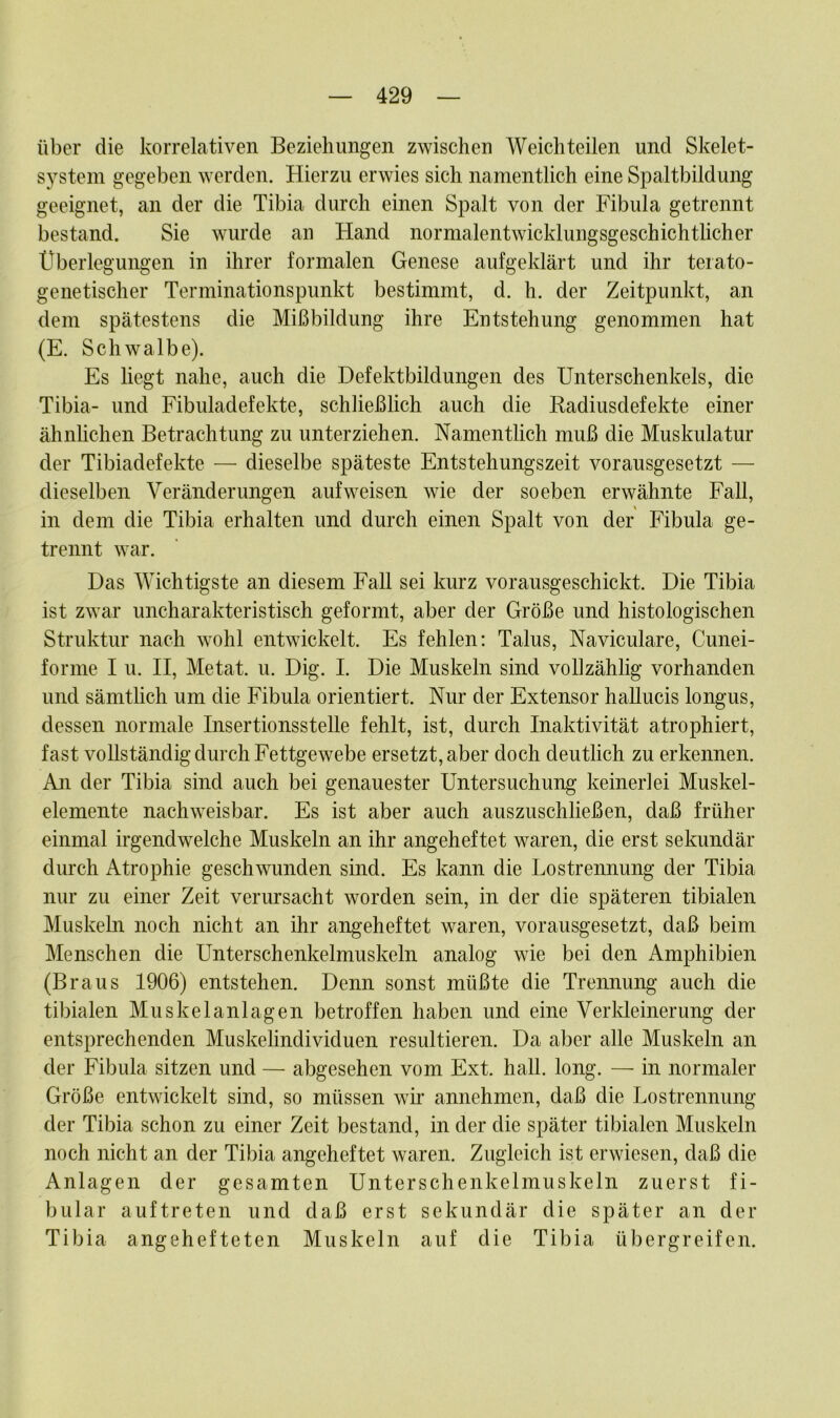 über die korrelativen Beziehungen zwischen Weichteilen und Skelet- system gegeben werden. Hierzu erwies sich namentlich eine Spaltbildung geeignet, an der die Tibia durch einen Spalt von der Fibula getrennt bestand. Sie wurde an Hand normalentwicklungsgeschichtlicher Überlegungen in ihrer formalen Genese aufgeklärt und ihr terato- genetischer Terminationspunkt bestimmt, d. h. der Zeitpunkt, an dem spätestens die Mißbildung ihre Entstehung genommen hat (E. Schwalbe). Es liegt nahe, auch die Defektbildungen des Unterschenkels, die Tibia- und Fibuladefekte, schließlich auch die Radiusdefekte einer ähnlichen Betrachtung zu unterziehen. Namentlich muß die Muskulatur der Tibiadefekte — dieselbe späteste Entstehungszeit vorausgesetzt — dieselben Veränderungen auf weisen wie der soeben erwähnte Fall, in dem die Tibia erhalten und durch einen Spalt von der Fibula ge- trennt war. Das Wichtigste an diesem Fall sei kurz vorausgeschickt. Die Tibia ist zwar uncharakteristisch geformt, aber der Größe und histologischen Struktur nach wohl entwickelt. Es fehlen: Talus, Naviculare, Cunei- forme I u. II, Metat. u. Dig. I. Die Muskeln sind vollzählig vorhanden und sämtlich um die Fibula orientiert. Nur der Extensor hallucis longus, dessen normale Insertionsstelle fehlt, ist, durch Inaktivität atrophiert, fast vollständig durch Fettgewebe ersetzt, aber doch deutlich zu erkennen. An der Tibia sind auch bei genauester Untersuchung keinerlei Muskel- elemente nachweisbar. Es ist aber auch auszuschließen, daß früher einmal irgendwelche Muskeln an ihr angeheftet waren, die erst sekundär durch Atrophie geschwunden sind. Es kann die Lostrennung der Tibia nur zu einer Zeit verursacht worden sein, in der die späteren tibialen Muskeln noch nicht an ihr angeheftet waren, vorausgesetzt, daß beim Menschen die Unterschenkelmuskeln analog wie bei den Amphibien (Braus 1906) entstehen. Denn sonst müßte die Trennung auch die tibialen Muskelanlagen betroffen haben und eine Verkleinerung der entsprechenden Muskelindividuen resultieren. Da aber alle Muskeln an der Fibula sitzen und — abgesehen vom Ext. hall. long. — in normaler Größe entwickelt sind, so müssen wir annehmen, daß die Lostrennung der Tibia schon zu einer Zeit bestand, in der die später tibialen Muskeln noch nicht an der Tibia angeheftet waren. Zugleich ist erwiesen, daß die Anlagen der gesamten Unterschenkelmuskeln zuerst fi- bular auftreten und daß erst sekundär die später an der Tibia angehefteten Muskeln auf die Tibia übergreifen.