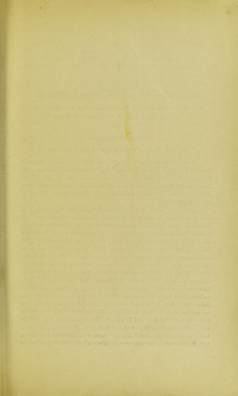 V V V'. f',.' ; ■ : f -• -i;' ' ,■ ■ •• ■ rit ’ . '01 !.. r?' ■■'ii ■ i... v:. '/ iVf V'