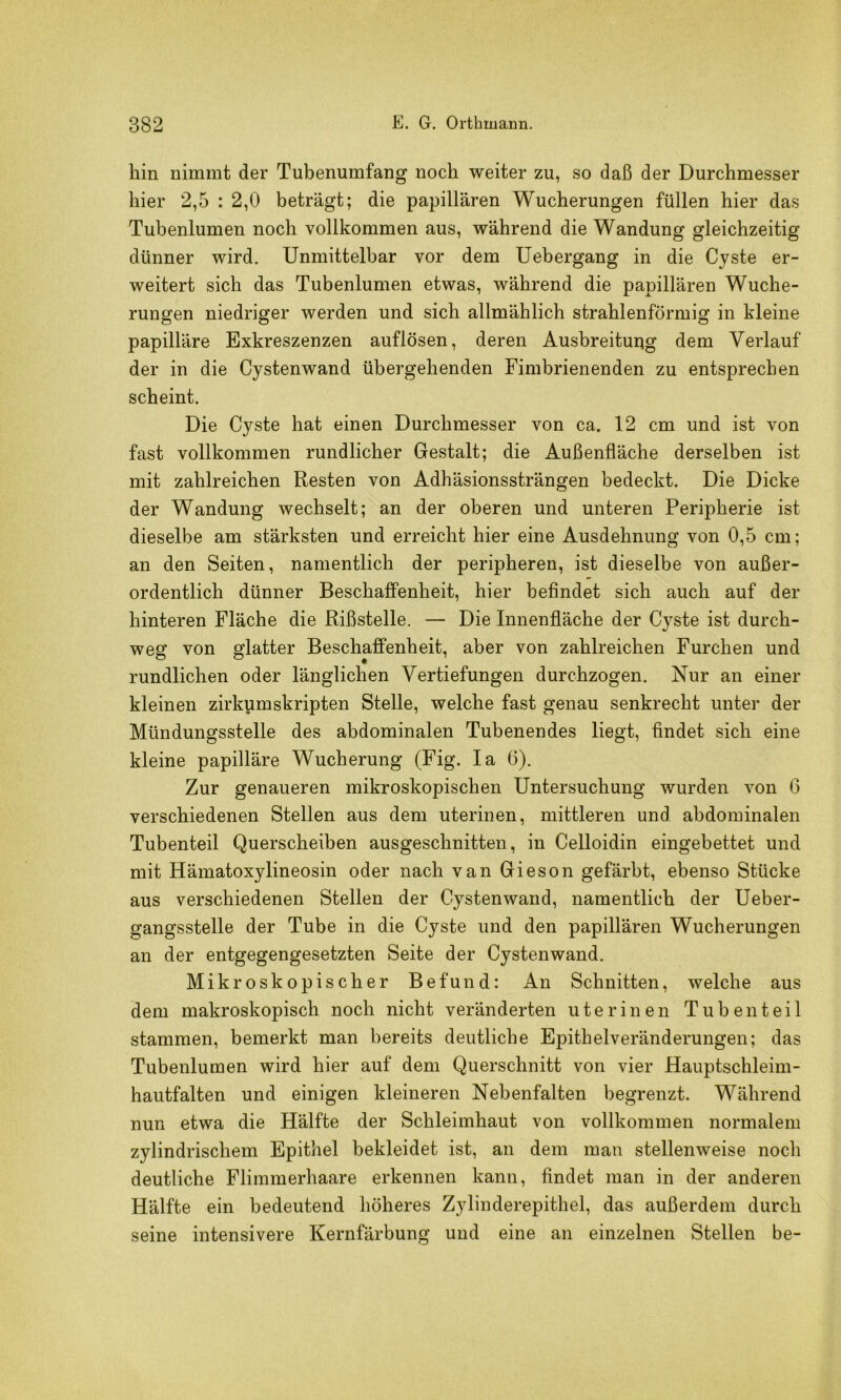 hin nimmt der Tubenumfang noch weiter zu, so daß der Durchmesser hier 2,5 : 2,0 beträgt; die papillären Wucherungen füllen hier das Tubenlumen noch vollkommen aus, während die Wandung gleichzeitig dünner wird. Unmittelbar vor dem Uebergang in die Cyste er- weitert sich das Tubenlumen etwas, während die papillären Wuche- rungen niedriger werden und sich allmählich strahlenförmig in kleine papilläre Exkreszenzen auflösen, deren Ausbreituug dem Verlauf der in die Cystenwand übergehenden Fimbrienenden zu entsprechen scheint. Die Cyste hat einen Durchmesser von ca. 12 cm und ist von fast vollkommen rundlicher Gestalt; die Außenfläche derselben ist mit zahlreichen Resten von Adhäsionssträngen bedeckt. Die Dicke der Wandung wechselt; an der oberen und unteren Peripherie ist dieselbe am stärksten und erreicht hier eine Ausdehnung von 0,5 cm; an den Seiten, namentlich der peripheren, ist dieselbe von außer- ordentlich dünner Beschaffenheit, hier befindet sich auch auf der hinteren Fläche die Rißstelle. — Die Innenfläche der Cyste ist durch- weg von glatter Beschaffenheit, aber von zahlreichen Furchen und rundlichen oder länglichen Vertiefungen durchzogen. Nur an einer kleinen zirkumskripten Stelle, welche fast genau senkrecht unter der Mündungsstelle des abdominalen Tubenendes liegt, findet sich eine kleine papilläre Wucherung (Fig. la 6). Zur genaueren mikroskopischen Untersuchung wurden von 6 verschiedenen Stellen aus dem uterinen, mittleren und abdominalen Tubenteil Querscheiben ausgeschnitten, in Celloidin eingebettet und mit Hämatoxylineosin oder nach van Gieson gefärbt, ebenso Stücke aus verschiedenen Stellen der Cystenwand, namentlich der Ueber- gangsstelle der Tube in die Cyste und den papillären Wucherungen an der entgegengesetzten Seite der Cystenwand. Mikroskopischer Befund: An Schnitten, welche aus dem makroskopisch noch nicht veränderten uterinen Tuben teil stammen, bemerkt man bereits deutliche Epithelveränderungen; das Tubenlumen wird hier auf dem Querschnitt von vier Hauptschleim- hautfalten und einigen kleineren Nebenfalten begrenzt. Während nun etwa die Hälfte der Schleimhaut von vollkommen normalem zylindrischem Epithel bekleidet ist, an dem man stellenweise noch deutliche Flimmerhaare erkennen kann, findet man in der anderen Hälfte ein bedeutend höheres Zylinderepithel, das außerdem durch seine intensivere Kernfärbung und eine an einzelnen Stellen be-