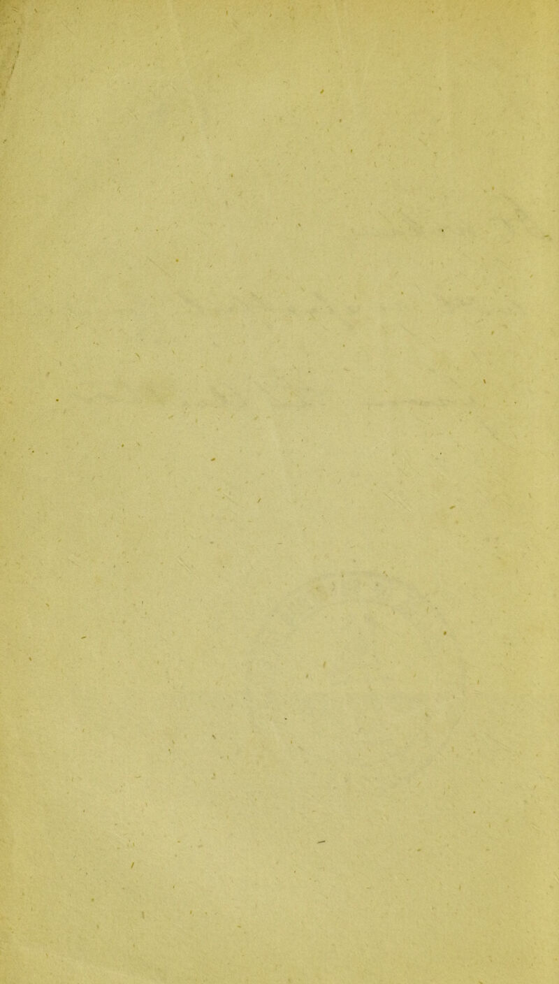 \ I i . . i * f t / \ t * I \ \ ■ » t J