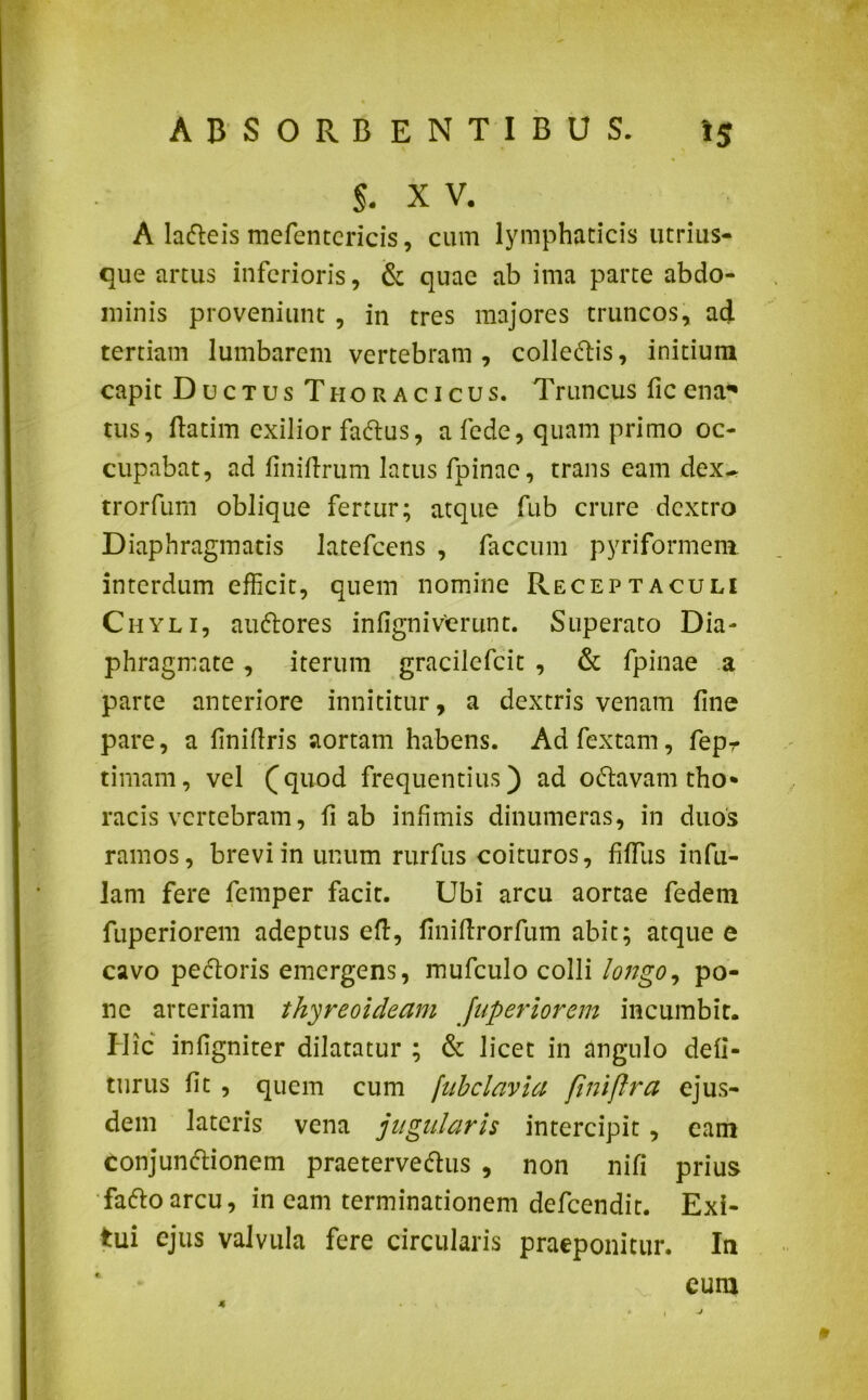 $. X V. A lafteis mefentericis, cum lymphaticis utrius- que artus inferioris, & quae ab ima parte abdo- minis proveniunt , in tres majores truncos, ad tertiam lumbarem vertebram, colle&is, initium capit Ductus Thoracicus. Truncus ficena* tus, ftatim exilior fa&us, a fede, quam primo oc- cupabat, ad finiftrum latus fpinae, trans eam dex^ trorfum oblique fertur; atque fub crure dextro Diaphragmatis Jatefcens , faecum pyriformem interdum efficit, quem nomine Receptaculi Chyli, audtores infigniverunt. Superato Dia- phragmate , iterum gracilefcit , & fpinae a parte anteriore innititur, a dextris venam fine pare, a finiltris aortam habens. Adfextam, fepr tiniam, vel (quod frequentius) ad oftavam tho* racis vertebram, fi ab infimis dinumeras, in duos ramos, brevi in unum rurfus coituros, filius infu- lam fere femper facit. Ubi arcu aortae fedem fuperiorem adeptus eft, finillrorfum abit; atque e cavo pectoris emergens, mufculo colli longo, po- ne arteriam thyreoideam fuperiorem incumbit. Hic infigniter dilatatur ; & licet in angulo deli- turus fit , quem cum ftihclavia finiflra ejus- dem lateris vena jugularis intercipit , eam conjunctionem praetervectus , non nili prius faCtoarcu, in eam terminationem defeendit. Exi- tui ejus valvula fere circularis praeponitur. In cum