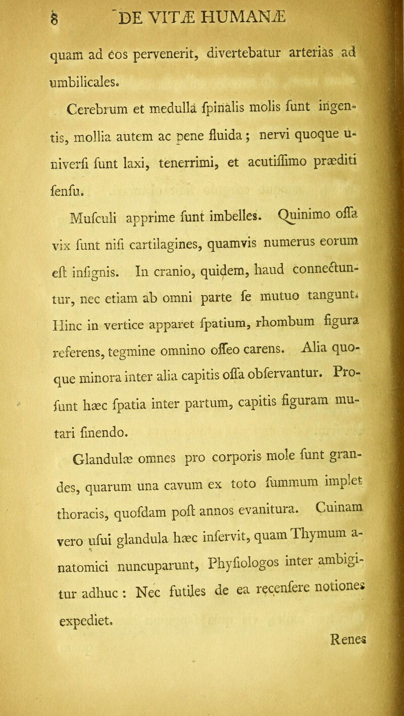 quam ad eos pervenerit, divertebatur arterias ad umbilicales. Cerebrum et medulla fpinalis molis funt ingen- tis, mollia autem ac pene fluida; nervi quoque u- niverfi funt laxi, tenerrimi, et acutiflimo praediti fenfu. Mufculi apprime funt imbelles. Quinimo offa vix funt nifi cartilagines, quamvis numerus eorum eft infignis. In cranio, quidem, haud conne&un- tur, nec etiam ab omni parte fe mutuo tangunt. Hinc in vertice apparet fpatium, rhombum figura referens, tegmine omnino offeo carens. Alia quo- que minora inter alia capitis offa obfervantur. Pro- funt haec fpatia inter partum, capitis figuram mu- tari finendo. Glandulae omnes pro corporis mole funt gran- des, quarum una cavum ex toto fummum implet thoracis, quofdam poft annos evanitura. Cuinam vero ufui glandula haec infervit, quam Thymum a- natomici nuncuparunt, Phyfiologos mter ambigi- tur adhuc: Nec futiles de ea recenfere notiones expediet. Renes