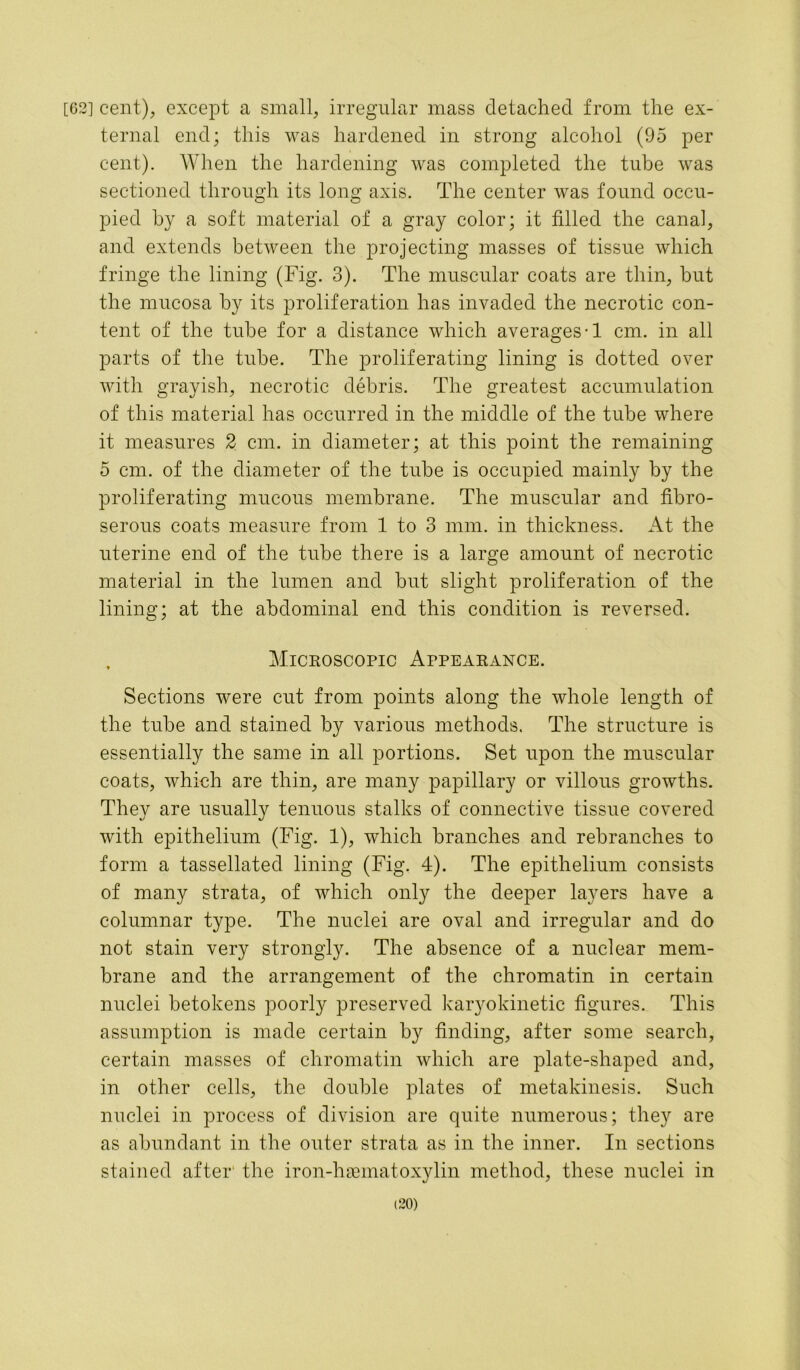 [62] cent), except a small, irregular mass detached from the ex- ternal end; this was hardened in strong alcohol (95 per cent). When the hardening was completed the tube was sectioned through its long axis. The center was found occu- pied by a soft material of a gray color; it filled the canal, and extends between the projecting masses of tissue which fringe the lining (Fig. 3). The muscular coats are thin, but the mucosa by its proliferation has invaded the necrotic con- tent of the tube for a distance which averages *1 cm. in all parts of the tube. The proliferating lining is dotted over with grayish, necrotic debris. The greatest accumulation of this material has occurred in the middle of the tube where it measures 2 cm. in diameter; at this point the remaining 5 cm. of the diameter of the tube is occupied mainly by the proliferating mucous membrane. The muscular and fibro- serous coats measure from 1 to 3 mm. in thickness. At the uterine end of the tube there is a large amount of necrotic material in the lumen and but slight proliferation of the lining; at the abdominal end this condition is reversed. Microscopic Appearance. Sections were cut from points along the whole length of the tube and stained by various methods. The structure is essentially the same in all portions. Set upon the muscular coats, which are thin, are many papillary or villous growths. They are usually tenuous stalks of connective tissue covered with epithelium (Fig. 1), which branches and rebranches to form a tassellated lining (Fig. 4). The epithelium consists of many strata, of which only the deeper layers have a columnar type. The nuclei are oval and irregular and do not stain very strongly. The absence of a nuclear mem- brane and the arrangement of the chromatin in certain nuclei betokens poorly preserved karyokinetic figures. This assumption is made certain by finding, after some search, certain masses of chromatin which are plate-shaped and, in other cells, the double plates of metakinesis. Such nuclei in process of division are quite numerous; they are as abundant in the outer strata as in the inner. In sections stained after the iron-haematoxylin method, these nuclei in