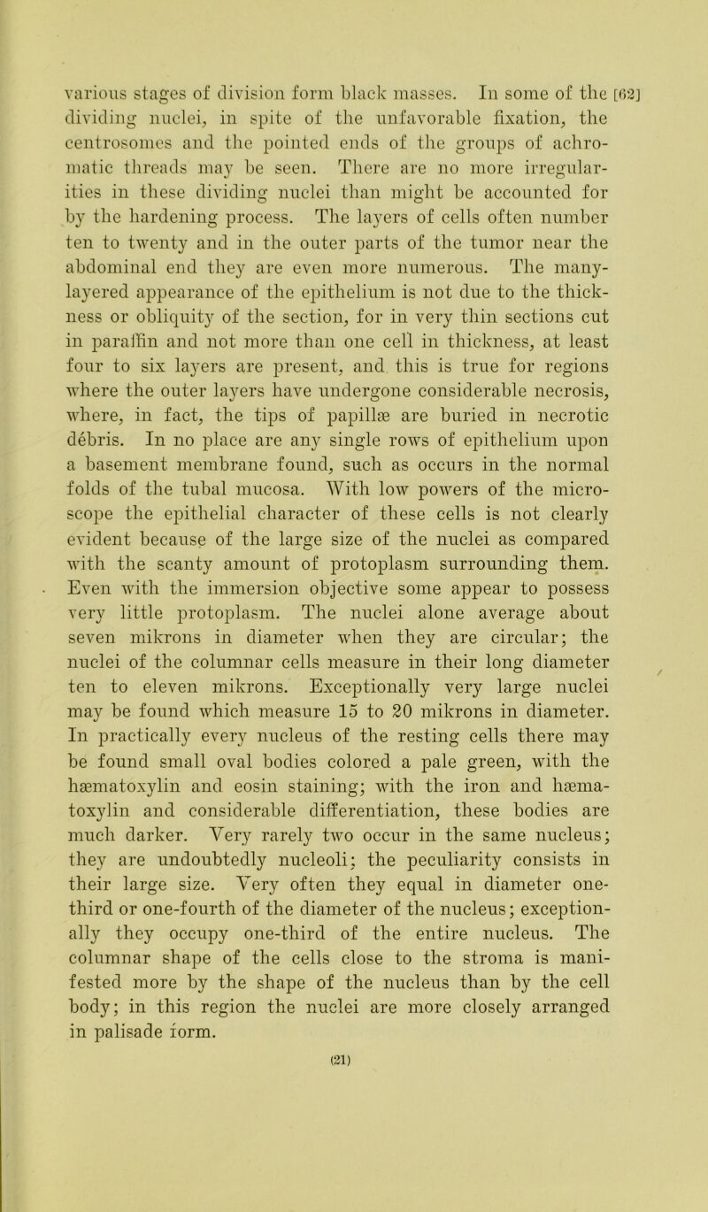 various stages of division form black masses. In some of the [62] dividing nuclei, in spite of the unfavorable fixation, the centrosomes and the pointed ends of the groups of achro- matic threads may be seen. There are no more irregular- ities in these dividing nuclei than might be accounted for by the hardening process. The layers of cells often number ten to twenty and in the outer parts of the tumor near the abdominal end they are even more numerous. The many- layered appearance of the epithelium is not due to the thick- ness or obliquity of the section, for in very thin sections cut in paraffin and not more than one cell in thickness, at least four to six layers are present, and this is true for regions where the outer layers have undergone considerable necrosis, where, in fact, the tips of papillae are buried in necrotic debris. In no place are any single rows of epithelium upon a basement membrane found, such as occurs in the normal folds of the tubal mucosa. With low powers of the micro- scope the epithelial character of these cells is not clearly evident because of the large size of the nuclei as compared with the scanty amount of protoplasm surrounding them. Even with the immersion objective some appear to possess very little protoplasm. The nuclei alone average about seven mikrons in diameter when they are circular; the nuclei of the columnar cells measure in their long diameter ten to eleven mikrons. Exceptionally very large nuclei may be found which measure 15 to 20 mikrons in diameter. In practically every nucleus of the resting cells there may be found small oval bodies colored a pale green, with the hsematoxylin and eosin staining; with the iron and hsema- toxylin and considerable differentiation, these bodies are much darker. Very rarely two occur in the same nucleus; they are undoubtedly nucleoli; the peculiarity consists in their large size. Very often they equal in diameter one- third or one-fourth of the diameter of the nucleus; exception- ally they occupy one-third of the entire nucleus. The columnar shape of the cells close to the stroma is mani- fested more by the shape of the nucleus than by the cell body; in this region the nuclei are more closely arranged in palisade form.