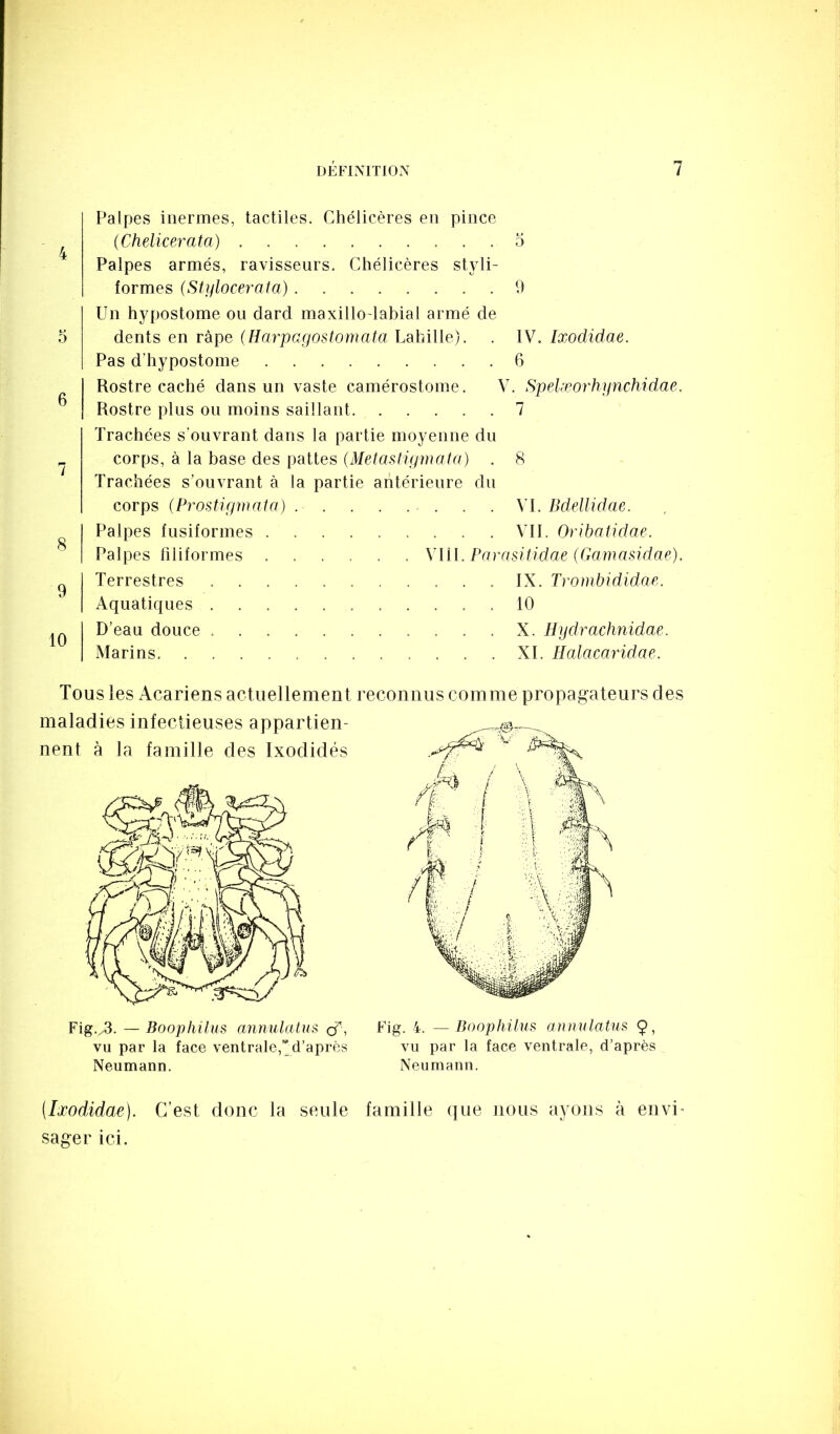 4 O 6 7 8 9 10 Palpes iriermes, tactiles. Chélicères en pince (Chelicerata) o Palpes armés, ravisseurs. Chélicères styli- formes (Stjilocerata) . 9 Un hypostome ou dard maxillO'labial armé de dents en râpe (Harpagostomata Lahille). . IV. Ixodidae. Pas d’hypostome 6 Rostre caché dans un vaste camérostome. V. Spelæorhiinchidae. Rostre plus on moins saillant 7 Trachées s’ouvrant dans la partie moyenne du corps, à la base des pattes (Metastigmata) . 8 Trachées s’ouvrant à la partie antérieure du corps (Prostigmata) . . . . . . . . \l. Bdellidae. Palpes fusiformes Vil. Oribatidae. Palpes filiformes ...... \Vl\. ParasUidae (Gomasidae). Terrestres IX. Trombididae. Aquatiques . 10 D’ean douce X. Hydrachnidae. Marins XI. Halacaridae. Tous les Acariens actuellement i maladies infectieuses appartien- nent à la famille des Ixodidés Fig.^. — Boophilus anmdatus cT, vu par la face ventrale,” d’après Neumann. ‘econnus comme propagateurs des Fig. 4. —Boophilus annulatus Ç, vu par la face ventrale, d’après Neumann. [Ixodidae). C’est donc la seule famille que nous ayons à envi- sager ici.