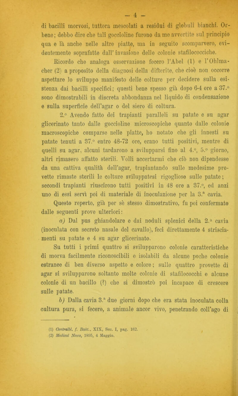 di bacilli morvosi, tuttora mescolati a residui di globuli bianchì. Or- bene; debbo dire che tali goccioline furono da me avvertite sul principio qua e là anche nelle altre piatte, ma in seguito scomparvero, evi- dentemente soprafatte dall’ invasione delle colonie stafilococciche. Ricordo che analoga osservazione fecero l’Abel (1) e l’Ohlma- cher (2) a proposito della diagnosi della difterite, che cioè non occorre aspettare lo sviluppo manifesto delle colture per decidere sulla esi- stenza dai bacilli specifici; questi bene spesso già dopo 6-4 ore a 37.° sono dimostrabili in discreta abbondanza nel liquido di condensazione e sulla superficie dell’agar o del siero di coltura. 2.° Avendo fatto dei trapianti paralleli su patate e su agar glicerinato tanto dalle goccioline microscopiche quanto dalle colonie macroscopiche comparse nelle piatte, ho notato che gli innesti su patate tenuti a 37.° entro 48-72 ore, erano tutti positivi, mentre di quelli su agar, alcuni tardarono a svilupparsi fino al 4.°, 5.° giorno, altri rimasero affatto sterili. Volli accertarmi che ciò non dipendesse da una cattiva qualità deH’agar, trapiantando sulle medesime pro- vette rimaste sterili le colture sviluppatesi rigogliose sulle patate ; secondi trapianti riuscirono tutti positivi in 48 ore a 37.°, ed anzi uno di essi servi poi di materiale di inoculazione per la 3.“ cavia. Questo reperto, già per se stesso dimostrativo, fu poi confermato dalle seguenti prove ulteriori: a) Dal pus ghiandolare e dai noduli splenici della 2.^ cavia (inoculata con secreto nasale del cavallo), feci direttamente 4 striscia- menti su patate e 4 su agar glicerinato. Su tutti i primi quattro si svilupparono colonie caratteristiche di morva facilmente riconoscibili e isolabili da alcune poche colonie estranee di ben diverso aspetto e colore; sulle quattro provette di agar si svilupparono soltanto molte colonie dì stafilococchi e alcune colonie di un bacillo (?) che si dimostrò poi incapace di crescere sulle patate. h) Dalla cavia 3.“'due giorni dopoché era stata inoculata colla cultura pura, si fecero, a animale ancor vivo, penetrando coll’ago di (1) Gentralhl. f. Baku, XIX, Sez. I, pag. 162.