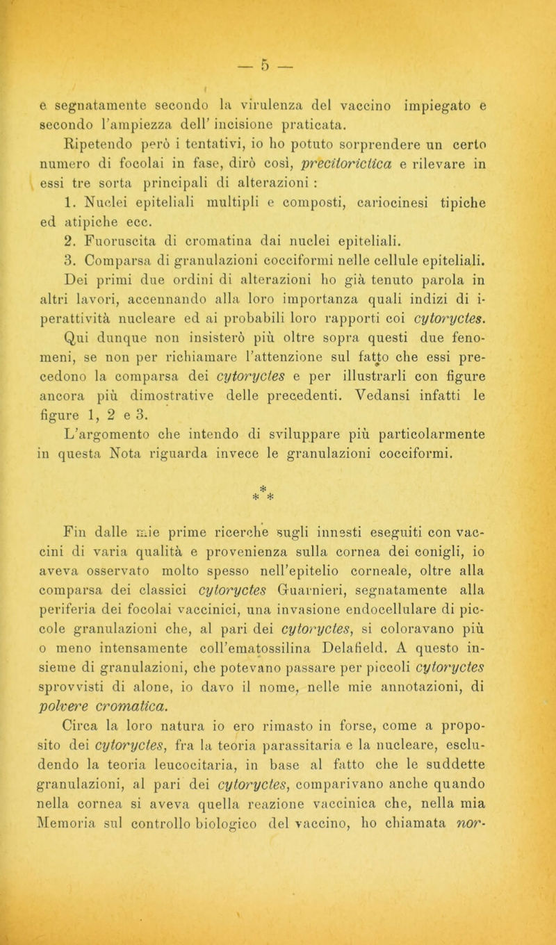 e segnatamente secondo la virulenza del vaccino impiegato e secondo Tampiezza dell’ incisione praticata. Ripetendo però i tentativi, io ho potuto sorprendere un certo numero di focolai in fase, dirò cosi, preciioriciica e rilevare in essi tre sorta principali di alterazioni : 1. Nuclei epiteliali multipli e composti, cariocinesi tipiche ed atipiche ecc. 2. Fuoruscita di cromatina dai nuclei epiteliali. 3. Comparsa di granulazioni cocciformi nelle cellule epiteliali. Dei primi due ordini di alterazioni ho già tenuto parola in altri lavori, accennando alla loro importanza quali indizi di i- perattività nucleare ed ai probabili loro rapporti coi cytoryctes. Qui dunque non insisterò più oltre sopra questi due feno- meni, se non per richiamare l’attenzione sul fatto che essi pre- cedono la comparsa dei cytoryctes e per illustrarli con figure ancora più dimostrative delle precedenti. Vedansi infatti le figure 1, 2 e 3. L’argomento che intendo di sviluppare più particolarmente in questa Nota riguarda invece le granulazioni cocciformi. * * * Fin dalle mie prime ricerche sugli innesti eseguiti con vac- cini di varia qualità e provenienza sulla cornea dei conigli, io aveva osservato molto spesso nell’epitelio corneale, oltre alla comparsa dei classici cytoryctes Guarnieri, segnatamente alla periferia dei focolai vaccinici, una invasione endocellulare di pic- cole granulazioni che, al pari dei cytoryctes, si coloravano più 0 meno intensamente coU’ematossilina Delafield. A questo in- sieme di granulazioni, che potevano passare per piccoli cytoryctes sprovvisti di alone, io davo il nome, nelle mie annotazioni, di polvere cromatica. Circa la loro natura io ero rimasto in forse, come a propo- sito dei cytoryctes, fra la teoria parassitaria e la nucleare, esclu- dendo la teoria leucocitaria, in base al fatto che le suddette granulazioni, al pari dei cytoryctes, comparivano anche quando nella cornea si aveva quella reazione vaccinica che, nella mia Memoria sul controllo biologico del vaccino, ho chiamata nor-