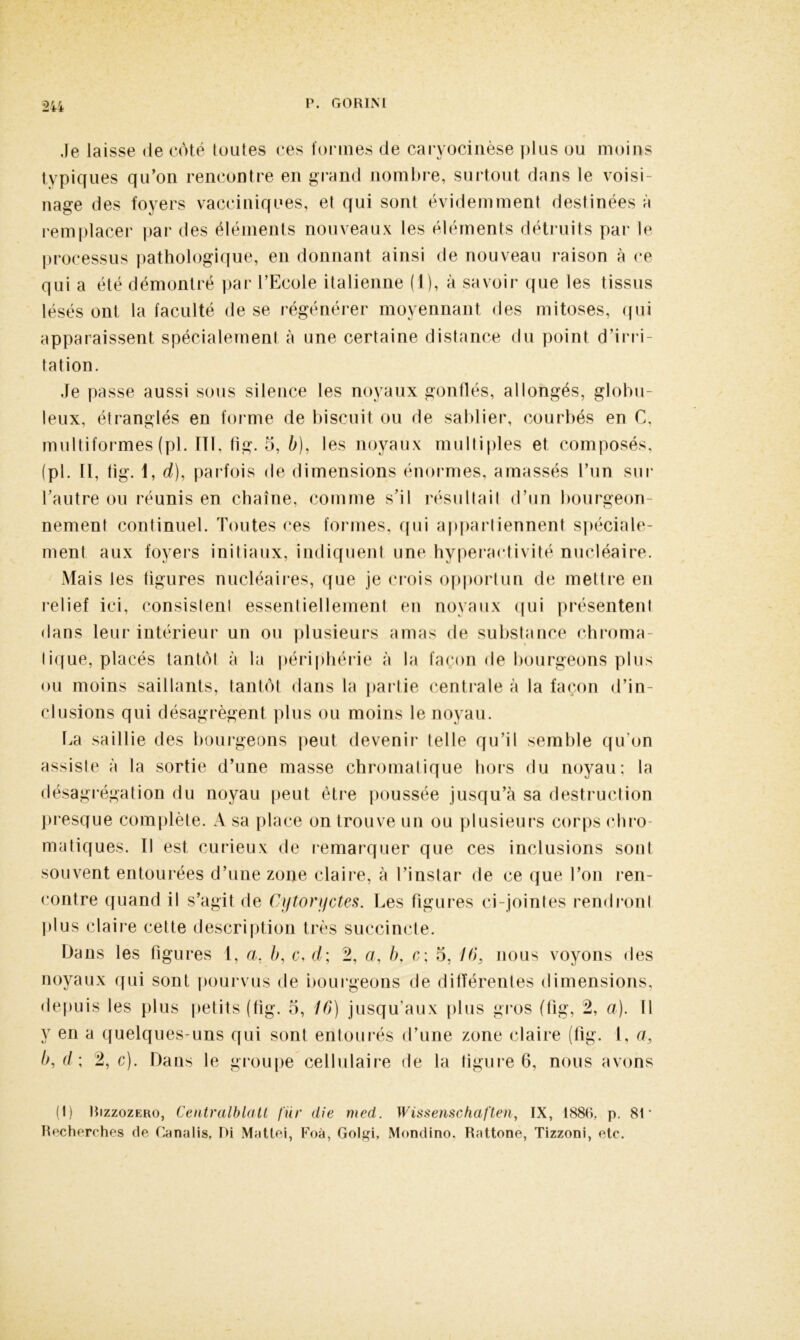.le laisse de côté toutes ces formes de caryocinèse plus ou moins typiques qu’on rencontre en grand nombre, surtout dans le voisi- nage des foyers vacciniqoes, et qui sont évidemment destinées à remplacer par des éléments nouveaux les éléments détruits par le processus pathologique, en donnant ainsi de nouveau raison à ce qui a été démontré par l’Ecole italienne (I), à savoir que les tissus lésés ont la faculté de se régénérer moyennant des mitoses, qui apparaissent spécialement à une certaine distance du point d’irri- tation. Je passe aussi sous silence les noyaux gonflés, allongés, globu- leux, étranglés en forme de biscuit ou de sablier, courbés en G. multiformes (pl. 111. fig. 5, b), les noyaux multiples et composés, (pl. Il, tig. 1, d), parfois de dimensions énormes, amassés l’un sur l’autre ou réunis en chaîne, comme s’il résultait d’un bourgeon- nement continuel. Toutes ces formes, qui appartiennent spéciale- ment aux foyers initiaux, indiquent une hyperactivité nucléaire. Mais les figures nucléaires, que je crois opportun de mettre en relief ici, consistent essentiellement en noyaux qui présentent dans leur intérieur un ou plusieurs amas de substance chroma- tique, placés tantôt à la périphérie à la façon de bourgeons plus ou moins saillants, tantôt dans la partie centrale à la façon d’in- clusions qui désagrègent plus ou moins le noyau. La saillie des bourgeons peut devenir telle qu’il semble qu’on assiste à la sortie d’une masse chromatique hors du noyau; la désagrégation du noyau peut être poussée jusqu’à sa destruction presque complète. sa place on trouve un ou plusieurs corps chro- matiques. Il est curieux de remarquer que ces inclusions sont souvent entourées d’une zone claire, à l’instar de ce que l’on ren- contre quand il s’agit de Cytorijctes. Les figures ci-jointes rendront plus claire cette description très succincte. Dans les ligures 1, a, è, c, d\ 2, a, b, c \ 5, 16, nous voyons des noyaux qui sont pourvus de bourgeons de différentes dimensions, depuis les plus petits (tig. 5, 16) jusqu’aux plus gros ffig, 2, a). Il y en a quelques-uns qui sont entourés d’une zone claire (fig. 1, a, b, d ; 2, c). Dans le groupe cellulaire de la figure 6, nous avons (t) Rizzozero, Centralblatt fiir die med. Wissenschaften, IX, 1886, p. 81* Recherches de Canalis, Di Mattéi, Foà, Golgi, Mondino, Rattone, Tizzoni, etc.