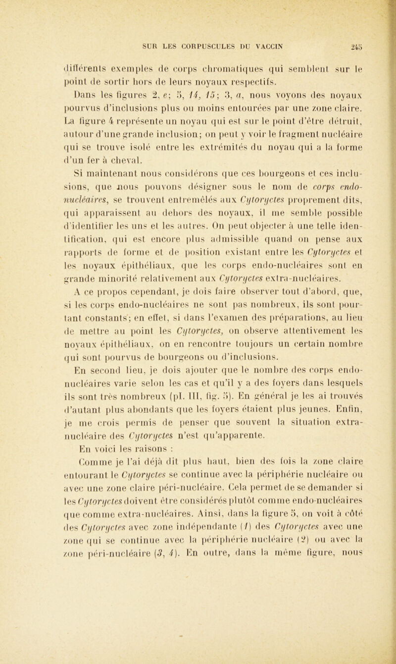 différents exemples de corps chromatiques qui semblent sur le point de sortir hors de leurs noyaux respectifs. Dans les figures 2, e; 5, iâ, 15; 3, a, nous voyons des noyaux pourvus d’inclusions plus ou moins entourées par une zone claire. La ligure 4 représente un noyau qui est sur le point d’être détruit, autour d’une grande inclusion; on peut y voir le fragment nucléaire qui se trouve isolé entre les extrémités du noyau qui a la forme d’un fer à cheval. Si maintenant nous considérons que ces bourgeons et ces inclu- sions, que nous pouvons désigner sous le nom de corps endo- nucléaires, se trouvent entremêlés aux Cytoryctes proprement dits, qui apparaissent au dehors des noyaux, il me semble possible d’identifier les uns et les autres. On peut objecter à une telle iden- tification, qui est encore plus admissible quand on pense aux rapports de forme et de position (existant entre les Cytoryctes et les noyaux épithéliaux, que les corps endo-nucléaires sont en grande minorité relativement aux Cytoryctes extra-nucléaires. A ce propos cependant, je dois faire observer tout d’abord, que, si les corps endo-nucléaires ne sont pas nombreux, ils sont pour- tant constants; en effet, si dans l’examen des préparations, au lieu de mettre au point les Cytoryctes, on observe attentivement les novaux épithéliaux, on en rencontre toujours un certain nombre qui sont pourvus de bourgeons ou d’inclusions. En second lieu, je dois ajouter que le nombre des corps endo- nucléaires varie selon les cas et qu’il y a des foyers dans lesquels ils sont très nombreux (pl. 111, fig. 5). En général je les ai trouvés d’autant plus abondants que les foyers étaient plus jeunes. Enfin, je me crois permis de penser que souvent la situation extra- nucléaire des Cytoryctes n’est qu’apparente. En voici les raisons : Comme je l’ai déjà dit plus haut, bien des fois la zone claire entourant le Cytoryctes se continue avec la périphérie nucléaire ou avec une zone claire péri-nucléaire. Cela permet de se demander si les Cytoryctes doivent être considérés plutôt comme endo-nucléaires que comme extra-nucléaires. Ainsi, dans la figure 5, on voit à côté des Cytoryctes avec zone indépendante (/) des Cytoryctes avec une zone qui se continue avec la périphérie nucléaire (t;) ou avec la zone péri-nucléaire (3, 4). En outre, dans la même figure, nous
