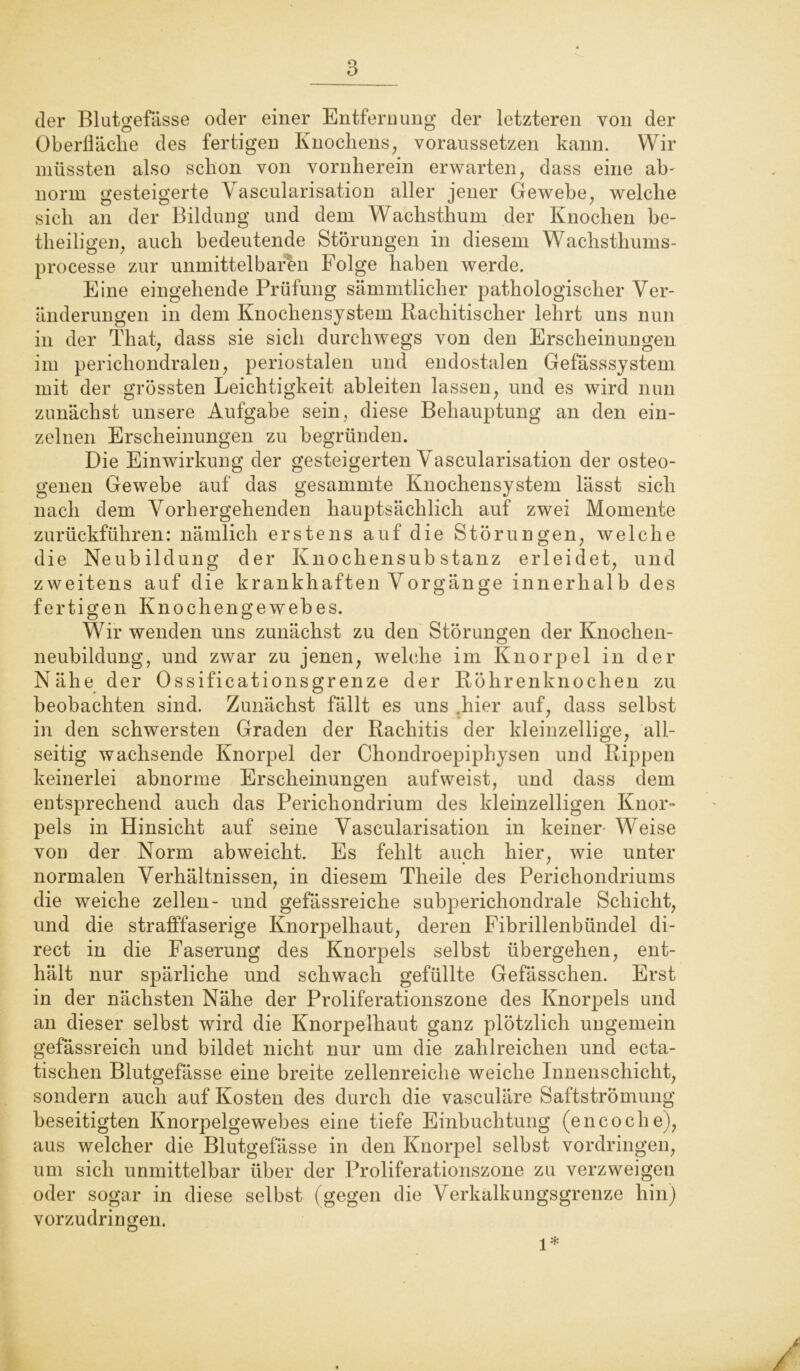 der Blutgefässe oder einer Entfernung der letzteren von der Oberlläclie des fertigen Knochens, voraussetzen kann. Wir müssten also schon von vornherein erwarten, dass eine ah' norm gesteigerte Yascularisation aller jener Gewebe, welche sich an der Bildung und dem Wachsthum der Knochen be- theiligen, auch bedeutende Störungen in diesem Wachsthums- processe zur unmittelbaren Folge haben werde. Eine eingehende Prüfung sämmtlicher pathologischer Ver- änderungen in dem Knochensystem Rachitischer lehrt uns nun in der That, dass sie sich durchwegs von den Erscheinungen im perichondralen, periostalen und endostalen Gefässsystem mit der grössten Leichtigkeit ableiten lassen, und es wird nun zunächst unsere Aufgabe sein, diese Behauptung an den ein- zelnen Erscheinungen zu begründen. Die Einwirkung der gesteigerten Vascularisation der osteo- genen Gewebe auf das gesammte Knochensystem lässt sich nach dem Vorhergehenden hauptsächlich auf zwei Momente zurückführen: nämlich erstens auf die Störungen, welche die Neubildung der Knochensubstanz erleidet, und zweitens auf die krankhaften Vorgänge innerhalb des fertigen Knochengewebes. Wir wenden uns zunächst zu den Störungen der Knochen- neubildung, und zwar zu jenen, welche im Knorpel in der Nähe der Ossificationsgrenze der Röhrenknochen zu beobachten sind. Zunächst fällt es uns .hier auf, dass selbst in den schwersten Graden der Rachitis der kleinzellige, all- seitig wachsende Knorpel der Chondroepiphysen und Rippen keinerlei abnorme Erscheinungen aufweist, und dass dem entsprechend auch das Pericliondrium des kleinzelligen Knor- pels in Hinsicht auf seine Vascularisation in keiner Weise von der Norm abweiclit. Es fehlt auch hier, wie unter normalen Verhältnissen, in diesem Theile des Perichondriums die weiche zellen- und gefässreiche subperichondrale Schicht, und die strafffaserige Knorpelhaut, deren Fibrillenbündel di- rect in die Faserung des Knorpels selbst übergehen, ent- hält nur spärliche und schwach gefüllte Gefässchen. Erst in der nächsten Nähe der Proliferationszone des Knorpels und an dieser selbst wird die Knorpelhaut ganz plötzlich ungemein gefässreich und bildet nicht nur um die zahlreichen und ecta- tischen Blutgefässe eine breite zellenreiche weiche Innenschicht, sondern auch auf Kosten des durch die vasculäre Saftströmung beseitigten Knorpelgewebes eine tiefe Einbuchtung (encoche), aus welcher die Blutgefässe in den Knorpel selbst Vordringen, um sich unmittelbar über der Proliferationszone zu verzweigen oder sogar in diese selbst (gegen die Verkalkungsgrenze hin) vorzudringen. l*