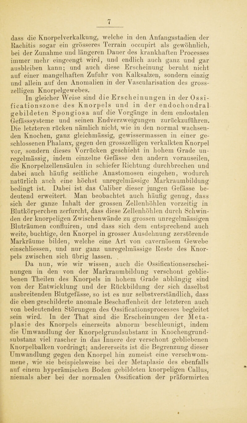 dass die Knorpelverkalkung, welche in den Anfangsstadien der Rachitis sogar ein grösseres Terrain occupirt als gewöhnlich, bei der Zunahme und längeren Dauer des krankhaften Processes immer mehr eingeengt wird, und endlich auch ganz und gar ausbleiben kann; und auch diese Erscheinung beruht nicht auf einer mangelhaften Zufuhr von Kalksalzen, sondern einzig und allein auf den Anomalien in der Vascularisation des gross- zeiligen Knorpelgewebes. In gleicher Weise sind die Erscheinungen in der Ossi- ficationszone des Knorpels und in der endochondral gebildeten Spongiosa auf die Vorgänge in dem endostalen Gefässsysteme und seinen Endverzweigungen zurückzuführen. Die letzteren rücken nämlich nicht, wie in den normal wachsen- den Knochen, ganz gleichmässig, gewissermassen in einer ge- schlossenen Phalanx, gegen den grosszeiligen verkalkten Knorpel vor, sondern dieses Vorrücken geschieht in hohem Grade un- regelmässig, indem einzelne Gefässe den andern vorauseilen, die Knorpelzellensäulen in schiefer Richtung durchbrechen und dabei auch häufig seitliche Anastomosen eingehen, wodurch natürlich auch eine höchst unregelmässige Markraumbildung bedingt ist. Dabei ist das Caliber dieser jungen Gefässe be- deutend erweitert. Man beobachtet auch häufig genug, dass sich der ganze Inhalt der grossen Zellenhöhlen vorzeitig in Blutkörperchen zerfurcht, dass diese Zellenhöhlen durch Schwin- den der knorpeligen Zwischenwände zu grossen unregelmässigen Bluträumen confluiren, und dass sich dem entsprechend auch weite, buchtige, den Knorpel in grosser Ausdehnung zerstörende Markräume bilden, welche eine Art von cavernösem Gewebe einsehliessen, und nur ganz unregelmässige Reste des Knor- pels zwischen sich übrig lassen. . Da nun, wie wir wissen, auch die Ossificationserschei- nungen in den von der Markraumbildung verschont geblie- benen Theilen des Knorpels in hohem Grade abhängig sind von der Entwicklung und der Rückbildung der sich daselbst ausbreitenden Blutgefässe, so ist es nur selbstverständlich, dass die eben geschilderte anomale Beschaffenheit der letzteren auch von bedeutenden Störungen des Ossificationsprocesses begleitet sein wird. ln der That sind die Erscheinungen der Meta- plasie des Knorpels einerseits abnorm beschleunigt, indem die Umwandlung der Knorpelgrundsubstanz in Knochengrund- substanz viel rascher in das Innere der verschont gebliebenen Knorpelbalken vordringt; andererseits ist die Begrenzung dieser Umwandlung gegen den Knorpel hin zumeist eine verschwom- mene, wie sie beispielsweise bei der Metaplasie des ebenfalls auf einem hyperämischen Boden gebildeten knorpeligen Callus, niemals aber bei der normalen Ossification der präformirten «