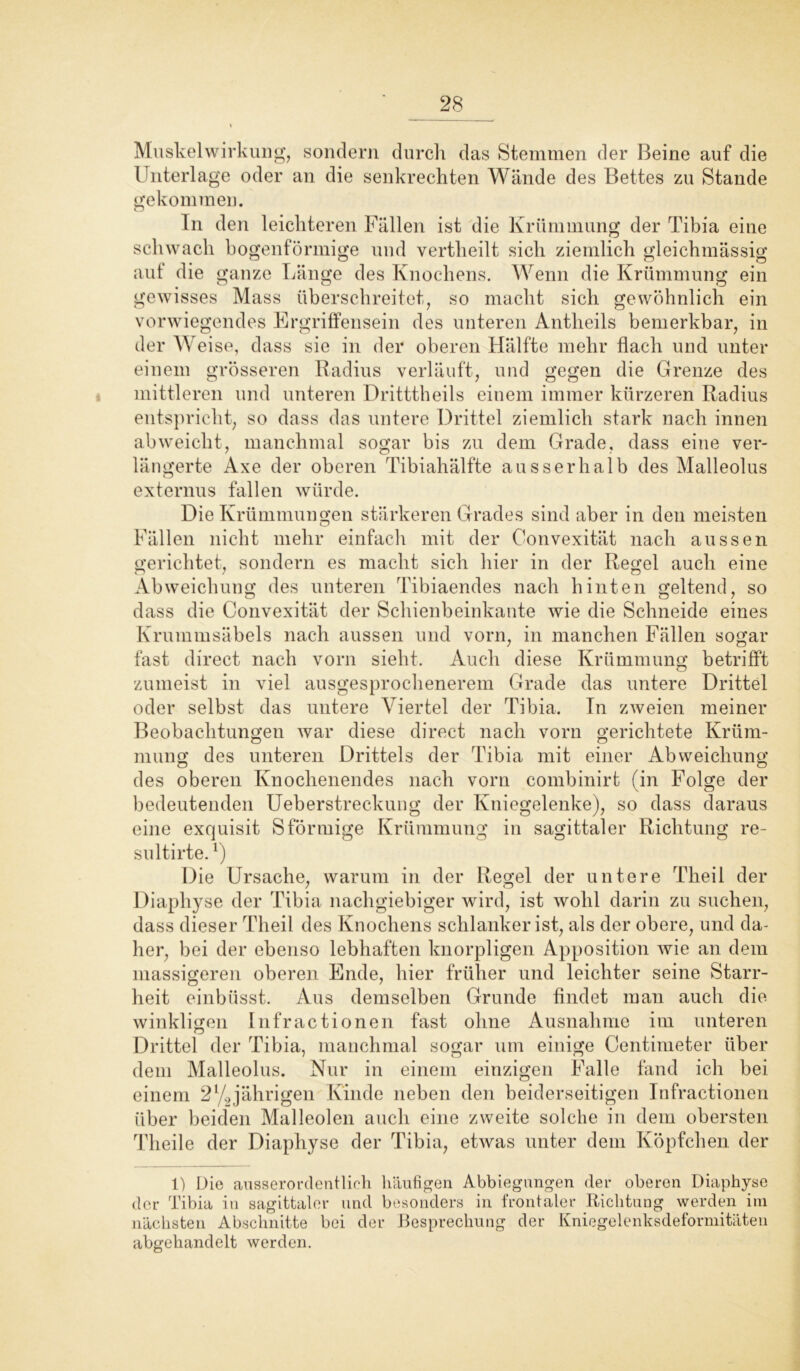 Muskel Wirkung, sondern durch das Stemmen der Beine auf die Unterlage oder an die senkrechten Wände des Bettes zu Stande gekommen. In den leichteren Fällen ist die Krümmung der Tibia eine schwach bogenförmige und vertheilt sich ziemlich gleichmässig auf die ganze Länge des Knochens. Wenn die Krümmung ein Ö ö gewisses Mass überschreitet, so macht sich gewöhnlich ein vorwiegendes Ergriffensein des unteren Antheils bemerkbar, in der Weise, dass sie in der oberen Hälfte mehr flach und unter einem grösseren Radius verläuft, und gegen die Grenze des mittleren und unteren Dritttheils einem immer kürzeren Radius entspricht, so dass das untere Drittel ziemlich stark nach innen ab weicht, manchmal sogar bis zu dem Grade, dass eine ver- längerte Axe der oberen Tibiahälfte ausserhalb des Malleolus externus fallen würde. Die Krümmungen stärkeren Grades sind aber in den meisten Fällen nicht mehr einfach mit der Convexität nach aussen gerichtet, sondern es macht sich hier in der Regel auch eine Abweichung des unteren Tibiaendes nach hinten geltend, so dass die Convexität der Schienbeinkante wie die Schneide eines Krummsäbels nach aussen und vorn, in manchen Fällen sogar fast direct nach vorn sieht. Auch diese Krümmung betrifft zumeist in viel ausgesprochenerem Grade das untere Drittel oder selbst das untere Viertel der Tibia. In zweien meiner Beobachtungen war diese direct nach vorn gerichtete Krüm- mung des unteren Drittels der Tibia mit einer Abweichung des oberen Knochenendes nach vorn combinirt (in Folge der bedeutenden Ueberstreckung der Kniegelenke), so dass daraus eine exquisit Sförmige Krümmung in sagittaler Richtung re- sultirte.l) Die Ursache, warum in der Regel der untere Theil der Diaphyse der Tibia nachgiebiger wird, ist wohl darin zu suchen, dass dieser Theil des Knochens schlanker ist, als der obere, und da- her, bei der ebenso lebhaften knorpligen Apposition wie an dem massigeren oberen Ende, hier früher und leichter seine Starr- heit einbüsst. Aus demselben Grunde findet man auch die winkligen Infractionen fast ohne Ausnahme im unteren Drittel der Tibia, manchmal sogar um einige Centimeter über dem Malleolus. Nur in einem einzigen Falle fand ich bei einem 2%jährigen Kinde neben den beiderseitigen Infractionen über beiden Malleolen auch eine zweite solche in dem obersten Theile der Diaphyse der Tibia, etwas unter dem Köpfchen der 1) Die ausserordentlich häufigen Abbiegungen der oberen Diaphyse der Tibia in sagittaler und besonders in frontaler Richtung werden im nächsten Abschnitte bei der Besprechung der Kniegelenksdeformitäten abgehandelt werden.