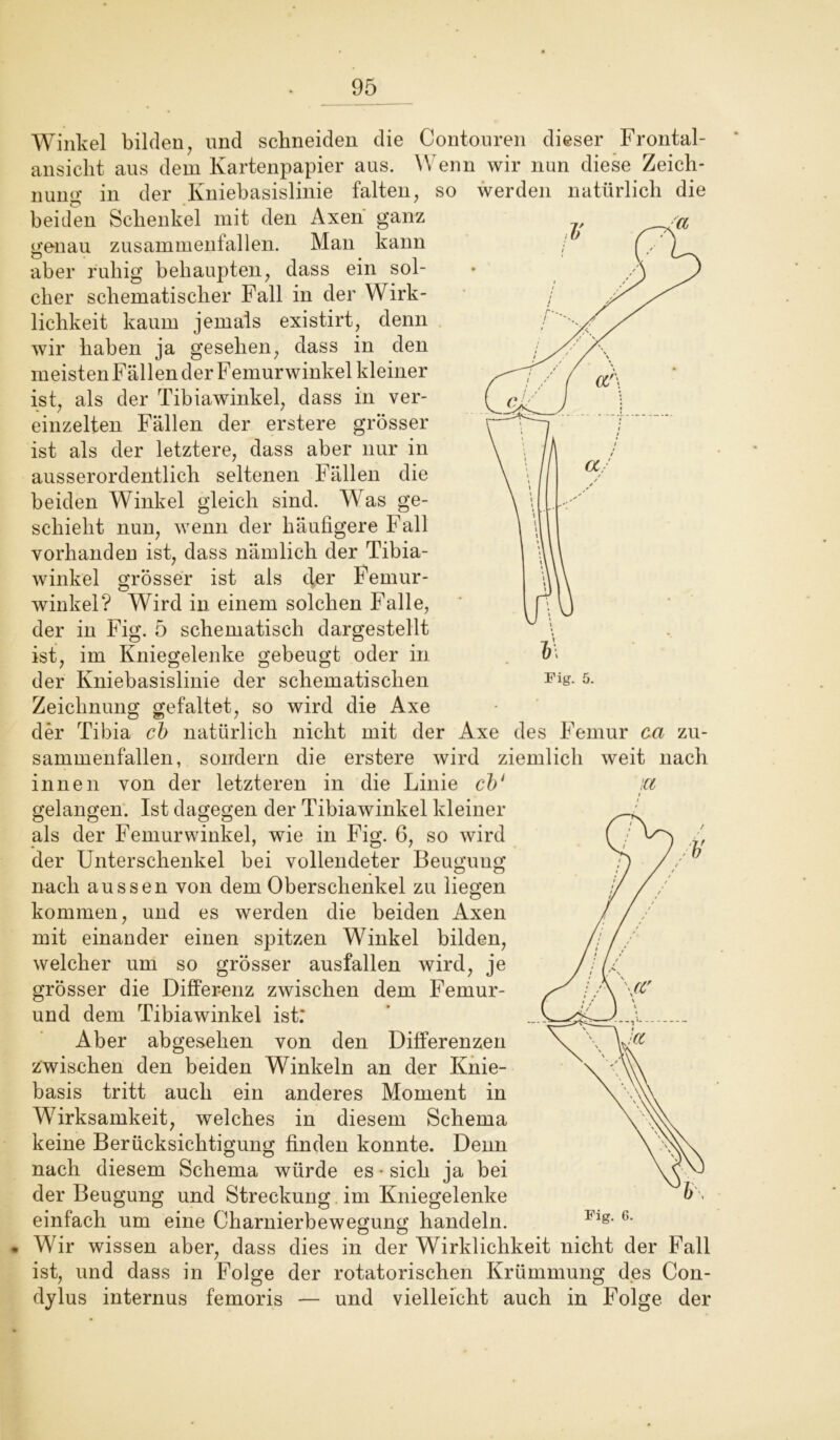 Winkel bilden, und schneiden die Contouren dieser Frontal- ansicht aus dem Kartenpapier aus. Wenn wir nun diese Zeich- nung in der Kniebasislinie falten, so werden natürlich die beiden Schenkel mit den Axen ganz genau zusammenfallen. Man kann aber ruhig behaupten, dass ein sol- cher schematischer Fall in der Wirk- lichkeit kaum jemals existirt, denn wir haben ja gesehen, dass in den meisten Fällen der Femurwinkel kleiner ist, als der Tibiawinkel, dass in ver- einzelten Fällen der erstere grösser ist als der letztere, dass aber nur in ausserordentlich seltenen Fällen die beiden Winkel gleich sind. Was ge- schieht nun, wenn der häufigere Fall vorhanden ist, dass nämlich der Tibia- winkel grosser ist als der Femur- winkel? Wird in einem solchen Falle, der in Fig. 5 schematisch dargestellt ist, im Kniegelenke gebeugt oder in der Kniebasislinie der schematischen Fis- 5. Zeichnung gefaltet, so wird die Axe der Tibia cb natürlich nicht mit der Axe des Femur ca zu- sammenfallen, sondern die erstere wird ziemlich weit nach innen von der letzteren in die Linie cb‘ u i gelangen. Ist dagegen der Tibiawinkel kleiner als der Femurwinkel, wie in Fig. 6, so wird der Unterschenkel bei vollendeter Beugung nach aussen von dem Oberschenkel zu liegen kommen, und es werden die beiden Axen mit einander einen spitzen Winkel bilden, welcher um so grösser ausfallen wird, je grösser die Differenz zwischen dem Feniur- und dem Tibiawinkel ist; Aber abgesehen von den Differenzen zwischen den beiden Winkeln an der Knie- basis tritt auch ein anderes Moment in Wirksamkeit, welches in diesem Schema keine Berücksichtigung finden konnte. Denn nach diesem Schema würde es * sich ja bei der Beugung und Streckung im Kniegelenke einfach um eine Charnierbewegung handeln. Wir wissen aber, dass dies in der Wirklichkeit nicht der Fall ist, und dass in Folge der rotatorischen Krümmung des Con- dylus internus femoris — und vielleicht auch in Folge der