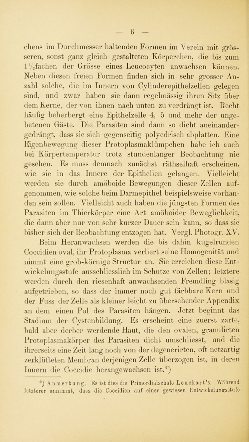 chens im Durchmesser haltenden Formen im Verein mit grös- seren, sonst ganz gleich gestalteten Körperchen, die bis zum 1 Vofachen der Grösse eines Leucocyten anwachsen können. Neben diesen freien Formen finden sich in sehr grosser An- zahl solche, die im Innern von Cylinderepithelzellen gelegen sind, und zwar haben sie dann regelmässig ihren Sitz über dem Kerne, der von ihnen nach unten zu verdrängt ist. Recht häufig beherbergt eine Epithelzelle 4, 5 und mehr der unge- betenen Gäste. Die Parasiten sind dann so dicht aneinander- gedrängt, dass sie sich gegenseitig polyedrisch abplatten. Eine Eigenbewegung dieser Protoplasmaklümpchen habe ich auch bei Körpertemperatur trotz stundenlanger Beobachtung nie gesehen. Es muss demnach zunächst räthselhaft erscheinen, wie sie in das Innere der Epithelien gelangen. Vielleicht werden sie durch amöboide Bewegungen dieser Zellen auf- genommen, wie solche beim Darmepithel beispielsweise vorhan- den sein sollen. Vielleicht auch haben die jüngsten Formen des Parasiten im Thierkörper eine Art amöboider Beweglichkeit, die dann aber nur von sehr kurzer Dauer sein kann, so dass sie bisher sich der Beobachtung entzogen hat. Vergl. Photogr. XV. Beim Heranwachsen werden die bis dahin kugelrunden Coccidien oval, ihr Protoplasma verliert seine Homogenität und nimmt eine grob-körnige Structur an. Sie erreichen diese Eilt- wickelungsstufe ausschliesslich im Schutze von Zellen; letztere werden durch den riesenhaft an wachsenden Fremdling blasig aufgetrieben, so dass der immer noch gut färbbare Kern und der Fuss der Zelle als kleiner leicht zu übersehender Appendix an dem einen Pol des Parasiten hängen. Jetzt beginnt das Stadium der Cystenbildung. Es erscheint eine zuerst zarte, bald aber derber werdende Haut, die den ovalen, granulirten Protoplasmakörper des Parasiten dicht umschliesst, und die ihrerseits eine Zeit lang noch von der degenerirten, oft netzartig zerklüfteten Membran derjenigen Zelle überzogen ist, in deren Innern die Coccidie herangewachsen ist.*) *) Anmerkung. Es ist dies die Primordialschale Leuckart’s. Während letzterer annimmt, dass die Coccidien auf einer gewissen Entwickelungsstufe