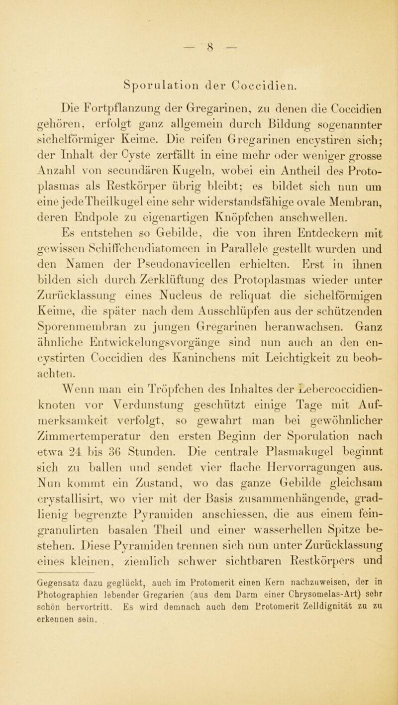 Spornlation der Coccidien. Die Fortpflanzung der Gregarinen, zu denen die Coccidien gehören, erfolgt ganz allgemein durch Bildung sogenannter sichelförmiger Keime. Die reifen Gregarinen encystiren sich; der Inhalt der Cyste zerfällt in eine mehr oder weniger grosse v o o Anzahl von secundären Kugeln, wobei ein Antheil des Proto- plasmas als Restkörper übrig bleibt; es bildet sich nun um eine jedeTheilkugel eine sehr widerstandsfähige ovale Membran, deren Endpole zu eigenartigen Knöpfchen anschwellen. Es entstehen so Gebilde, die von ihren Entdeckern mit gewissen Schiffchendiatomeen in Parallele gestellt wurden und den Namen der Pseudonavicellen erhielten. Erst in ihnen bilden sich durch Zerklüftung des Protoplasmas wieder unter Zurücklassung eines Nucleus de reliquat die sichelförmigen Keime, die später nach dem Ausschlüpfen aus der schützenden Sporenmembran zu jungen Gregarinen heranwachsen. Ganz ähnliche En twickelungs Vorgänge sind nun auch an den en- o o o cystirten Coccidien des Kaninchens mit Leichtigkeit zu beob- i O achten. Wenn man ein Tröpfchen des Inhaltes der Lebercoccidien- knoten vor Verdunstung geschützt einige Tage mit Auf- O O 0.0 merksamkeit verfolgt, so gewahrt man bei gewöhnlicher Zimmertemperatur den ersten Beginn der Sporulation nach etwa 24 bis 36 Stunden. Die centrale Plasmakugel beginnt sich zu ballen und sendet vier flache Hervorragungen aus. Nun kommt ein Zustand, wo das ganze Gebilde gleichsam crystallisirt, wo vier mit der Basis zusammenhängende, grad- lienig begrenzte Pyramiden anschiessen, die aus einem fein- granulirten basalen Theil und einer wasserhellen Spitze be- stehen. Diese Pyramiden trennen sich nun unter Zurücklassung eines kleinen, ziemlich schwer sichtbaren Restkörpers und Gegensatz dazu geglückt, auch im Protomerit einen Kern nachzuweisen, der in Photographien lebender Gregarien (aus dem Darm einer Chrysomelas-Art) sehr schön hervortritt. Es wird demnach auch dem Protomerit Zelldignität zu zu erkennen sein.