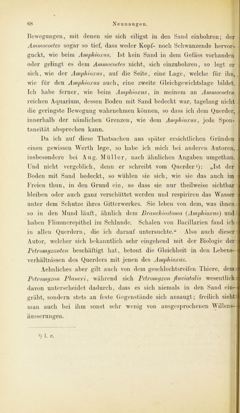 Bewegungen, mit denen sie sich eiligst in den Sand einbohren; der Ammocoetes sogar so tief, dass weder Kopf- noch Schwanzende hervor- guckt, wie beim Amphioxus. Ist kein Sand in dem Gefäss vorhanden oder gelingt es dem Ammocoetes nicht, sich einzubohren, so legt er sich, wie der Amphioxus, auf die Seite, eine Lage, welche für ihn, wie für den Amphioxus auch, eine zweite Gleichgewichtslage bildet. Ich habe ferner, wie beim Amphioxus, in meinem an Ammocoeten reichen Aquarium, dessen Boden mit Sand bedeckt war, tagelang nicht die geringste Bewegung wahrnehmen können, so dass ich dem Querder, innerhalb der nämlichen Grenzen, wie dem Amphioxus, jede Spon- taneität absprechen kann. Da ich auf diese Thatsachen aus später ersichtlichen Gründen einen gewissen Werth lege, so habe ich mich bei anderen Autoren, insbesondere bei Aug. Müller, nach ähnlichen Angaben umgethan. Und nicht vergeblich, denn er schreibt vom Querder1): „Ist der Boden mit Sand bedeckt, so wühlen sie sich, wie sie das auch im Freien thun, in den Grund ein, so dass sie nur theilweise sichtbar bleiben oder auch ganz verschüttet werden und respiriren das Wasser unter dem Schutze ihres Gitterwerkes. Sie leben von dem, was ihnen so in den Mund läuft, ähnlich dem Brauchiostoma (.Amphioxus) und haben Flimmerepithel im Schlunde. Schalen von Bacillarien fand ich in allen Querdern, die ich darauf untersuchte.u Also auch dieser Autor, welcher sich bekanntlich sehr eingehend mit der Biologie der Petromyzonten beschäftigt hat, betont die Gleichheit in den Lebens- verhältnissen des Querders mit jenen des Amphioxus. Aehnliches aber gilt auch von dem geschlechtsreifen Thiere, dem Petro myzon Planer/, während sich Pctromyzon fluviatalis wesentlich davon unterscheidet dadurch, dass es sich niemals in den Sand ein- gräbt, sondern stets an feste Gegenstände sich ansaugt; freilich sieht man auch bei ihm sonst sehr wenig von ausgesprochenen Willens- äusserungen. Ö 1. c.