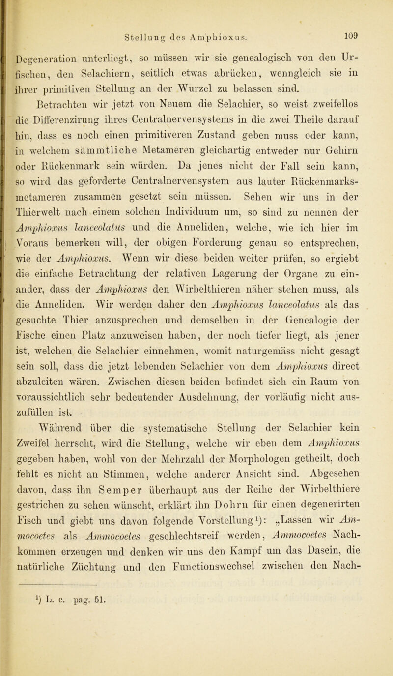 Degeneration unterliegt, so müssen wir sie genealogisch von den Ur- fischen, den Selacliiern, seitlich etwas abrücken, wenngleich sie in ihrer primitiven Stellung an der Wurzel zu belassen sind. Betrachten wir jetzt von Neuem die Selachier, so weist zweifellos die Differenzirung ihres Gentrainervensystems in die zwei Theile darauf hin, dass es noch einen primitiveren Zustand geben muss oder kann, in welchem sammtliehe Metameren gleichartig entweder nur Gehirn oder Rückenmark sein würden. Da jenes nicht der Fall sein kann, so wird das geforderte Centralnervensystem aus lauter Rückenmarks- metameren zusammen gesetzt sein müssen. Sehen wir uns in der Thierwelt nach einem solchen Individuum um, so sind zu nennen der Aniphioxus lanceolatus und die Anneliden, welche, wie ich hier im Voraus bemerken will, der obigen Forderung genau so entsprechen, wie der Aniphioxus. Wenn wir diese beiden weiter prüfen, so ergiebt die einfache Betrachtung der relativen Lagerung der Organe zu ein- ander, dass der Aniphioxus den Wirbelthieren näher stehen muss, als die Anneliden. Wir werden daher den Aniphioxus lanceolatus als das gesuchte Thier anzusprechen und demselben in der Genealogie der Fische einen Platz anzuweisen haben, der noch tiefer liegt, als jener ist, welchen die Selachier einnehmen, womit naturgemäss nicht gesagt sein soll, dass die jetzt lebenden Selachier von dem Aniphioxus direct abzuleiten wären. Zwischen diesen beiden befindet sich ein Raum von voraussichtlich sehr bedeutender Ausdehnung, der vorläufig nicht aus- zufüllen ist. Während über die systematische Stellung der Selachier kein Zweifel herrscht, wird die Stellung, welche wir eben dem Aniphioxus gegeben haben, wohl von der Mehrzahl der Morpliologen getheilt, doch fehlt es nicht an Stimmen, welche anderer Ansicht sind. Abgesehen davon, dass ihn Semper überhaupt aus der Reihe der Wirbelthiere gestrichen zu sehen wünscht, erklärt ihn Dohm für einen degenerirten Fisch und giebt uns davon folgende Vorstellung1): „Lassen wir Am- mocoetes als Amniocoetes geschlechtsreif werden, Ammocoetes Nach- kommen erzeugen und denken wir uns den Kampf um das Dasein, die natürliche Züchtung und den Functionswechsel zwischen den Nach- L. c. pag. 51.