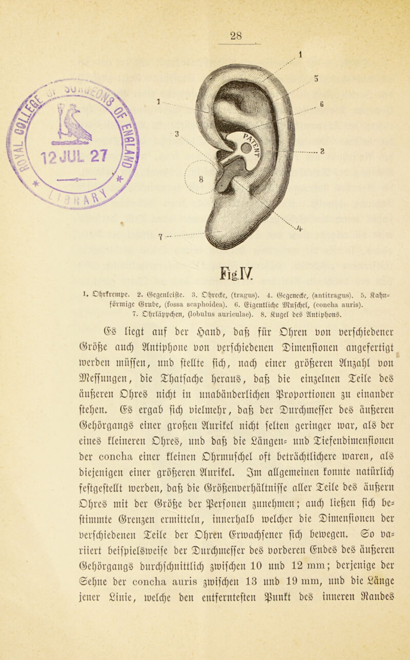 mi l, OljrTrentpe. 2. ©egentcifte. 3. Of)vecfe, (tragus). 4. ©egenecte, (antitragus). 5. Äahn= förmige ©rube, (fossa scaphoidea). 6. (Sigeittüdjc ^ufchel, (conclia anris). 7. Ohrläppchen, (lobulus auriculae). 8. Äuget be§ 5Intiphon§. ©S Hegt auf ber £mnb, baß für Dtjren üon betriebener ©röße and) 2tntipt)one Don öer[d)iebenen 3)intenfionen angefertigt mcrbeit mitffen, unb ftettte fid), rtatf) einer größeren Einsal)! boit ÜFkffungen, bie Sljatfadje heraus, baß bie eingetnen £eite be§ änderen £)t)re§ uidjt in unabänbertidjen Proportionen p einanber fteßem ©§ ergab fid) oietmctjr, baß ber SDurdjmeffer beS änderen ©epörgangS einer grofseit Stnrifct nid)t fetten geringer mar, als ber eines fteineren DßreS, nnb baß bie Sängern nnb £iefenbimenfioneit ber concha einer fteincn Dßrmnfdjet oft beträdjttiä)ere maren, als biejenigctt einer größeren SlnrifeL 3m allgemeinen tonnte natürtidj feftgeftettt merben, baß bie ©rößenberßättniffe alter £eile be§ äußern DßrcS mit ber (Stöße ber Perfoncit pnetpten; and) ließen fid) bc^ ftimmte ©rennen ermitteln, innerhalb metdjer bie SDimenfionen ber berfd)iebenen £eile ber Dtjren ©rmacßfener fid) beloegem @o ba= riiert beifpietSmeife ber 2)urdjmeffer beS Oorberen ©nbeS beS äußeren ©eßörgangS bnrcßfdpittlidj pnfdjen 10 nnb 12 mm; berjenige ber Setjne ber concha auris gmifdjen 13 nnb 19 mm, nnb bie Sänge jener Sinie, metdjc ben entfernteften Punft bcS inneren OtanbeS