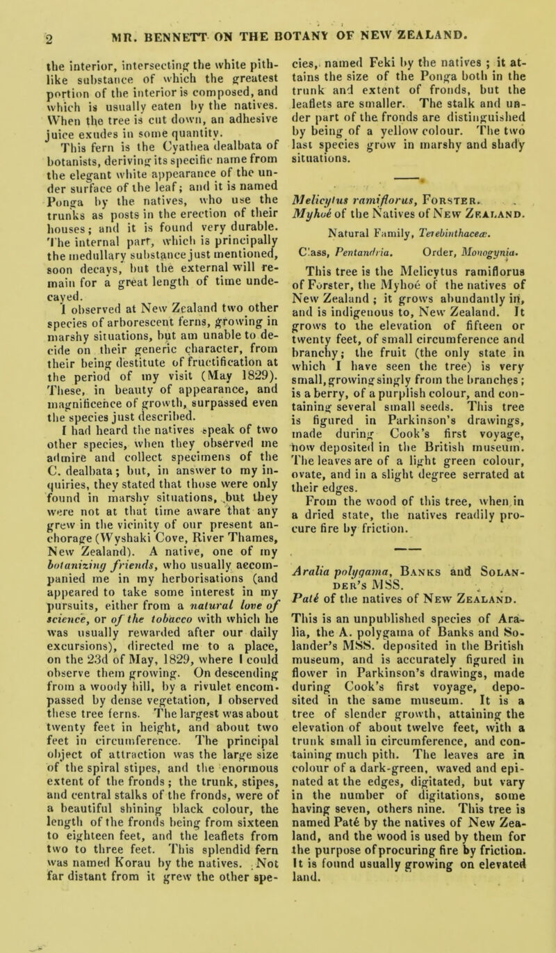the interior, intersecting; the while pith- like substance of which the greatest portion of the interior is composed, and which is usually eaten by the natives. When the tree is cut down, an adhesive juice exudes in some quantity. This fern is the Cyathea dealbata of botanists, deriving its specific name from the elegant white appearance of the un- der surface of the leaf; and it is named Ponga by the natives, vvho use the trunks as posts in the erection of their houses; and it is found very durable. 'I'he internal parr, which is principallv the medullary substance just mentioned, soon decays, but the external will re- main for a great length of time unde- cayed. *1 observed at New Zealand two other species of arborescent ferns, growing in marshy situations, but am unable to de- cide on their generic character, from their being destitute of fructification at the period of iny visit (May 1829). Tltese, in beauty of appearance, and magnificence of growth, surpassed even the species just described. I had heard tlie natives speak of two other species, when they observed me admire and collect specimens of the C. dealbata; but, in answer to my in- quiries, they stated that those were only found in marshy situations, .but they were not at that time aware that any grew in the vicinity of our present an- chorage (Wyshaki Cove, River Thames, New Zealand^ A native, one of my botanizing friends, who usually accom- panied me in my herborisations (and appeared to take some interest in my pursuits, either from a natural love of science, or of the tobacco with which he was usually rewarded after our daily excursions), directed me to a place, on the 2.3d of May, 1829, where I could observe them growing. On descending from a woody liill, by a rivulet encom- passed by dense vegetation, I observed tliese tree ferns. The largest was about twenty feet in height, and about two feet in circumference. The principal object of attraction was the large size of the spiral stipes, and tlie enormous extent of the fronds ; the trunk, stipes, and central stalks of the fronds, were of a beautiful shining black colour, the length of the fronds being from sixteen to eighteen feet, and the leaflets from two to three feet. This splendid fern was named Korau by the natives. Not far distant from it grew the other spe- cies, named Feki by the natives ; it at- tains the size of the Ponga both in the trunk and extent of fronds, but the leaflets are smaller. The stalk and un- der part of the fronds are distinguished by being of a yellow colour. The two last species grow in marshy and shady situations. Melicgius ramiflorus, Forster. Myhueoi the Natives of New Zealand. Natural Family, Terebiiithacea;. C!ass, Pentanrlria. Order, Mouogynia. This tree is the Melicytus ramiflorus of Forster, the Myhoe of the natives of New Zealand ; it grows abundantly in, and is indigenous to. New Zealand. It grows to the elevation of fifteen or tvventy feet, of small circumference and branchy; the fruit (the only state in which I have seen the tree) is very small,growingsingly from the branches; is a berry, of a purplish colour, and con- taining several small seeds. This tree is figured in Parkinson’s drawings, made during Cook’s first voyage, bow deposited in the British museum. The leaves are of a light green colour, ovate, and in a slight degree serrated at their edges. From the wood of this tree, when in a dried state, the natives readily pro- cure fire by friction. Aralia polgqama. Banks and Solan- der’s mss. Pali of the natives of New Zealand. This is an unpublished species of Ara- lia, the A. polygama of Banks and So- lander’s MSS. deposited in the British museum, and is accurately figured in flower in Parkinson’s drawings, made during Cook’s first voyage, depo- sited in the same museum. It is a tree of slender growth, attaining the elevation of about twelve feet, with a trunk small in circumference, and con- taining much pith. The leaves are in colour of a dark-green, waved and epi- nated at the edges, digitated, but vary in the number of digitations, some having seven, others nine. This tree is named Pat6 by the natives of New Zea- land, and the wood is used by them for the purpose of procuring fire by friction. It is found usually growing on elevated land.