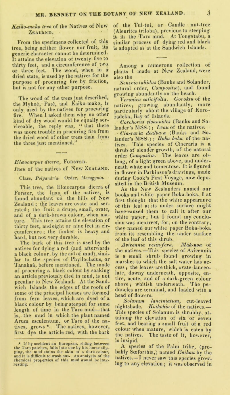 Kaiko-mako tree of the Natives of New Zealand. From the specimens collected of this tree, being neither flower nor fruit, its generic character cannot be determined. It attains the elevation of twenty- five to thirty feet, and a circumference ot twu or three feet. The wood, wlien in a dried state, is used by the natives for ilie purpose of procuring fire by friction, but is not for any otiter purpose. The wood of the trees just described, the Myhoe, Pate, and Kaiko-mako, is only used by tlie natives tor procuring fire. When I asked them why no other kind of dry wood would be equally ser- viceable, the reply was, “ lliat there was more trouble in procuring fire from the dried wood of other trees than from the three just mentioned.” Elceocarpus dicera, Forster. lhau of the natives of New Zealand. Class, Polyandria. Order, Monogynia. This tree, the Elceocarpus dicera of Forster, the Inau of the natives, is found abundant on the hills of New Zealand ; the leaves are ovale and ser- rated ; the fruit a drupe, small, ovale, and of a dark-brown colour, when ma- ture. This tree attains tlie elevation of thirty feet, and eight or nine feet in cir- cumference ; the timber is heavy and hard, but not very duralile. 'I’he bark of this tree is used by the natives for dying a red (and afterwards a black colour, by the aid of mud), simi- lar to the species of Phyllocladus, or Tanaka^, before mentioned. The mode of procuring a black colour by soaking an article previously died in mud, is not peculiar to New Zealand. At the Sand- wich Islands the edges of the roofs of some of the principal houses are formed from fern leaves, which are dyed of a black colour by being steeped for some length of time in the Taro mud—that is, the mud in which the plant named Arum esculentum, or Taro of the na- tives, grows *. The natives, however, first dye the article red, with the bark * If by accident an European, riding between the Taro patches, falls into one by his horse slip- ping, the mud stains the skin of a dark colour, and it is difficult to wash out. An analysis of the chemical properties of this mud would he inte- resting. of the Tui-tui, or Candle nut-tree (Aleurites triloba), previous to steeping it ih the Taro mud. At Tongatabu, a similar process of dying red and black is adopted as at the Sandwich Islands. Among a numerous collection of plants 1 made at New Zealand, were also the Semcio labidns (Banks and Solander, natural order, (Jumpositce), and found growing abundantly on the beach. Veronica salicifolia. Gurukiu of tlie natives; growing abundantly, more particularly about the village of Koro- radeka, Bay of Islands. Cortkorus sloanoides (Banks and So- lander’s MSS ); Jicaiiofi the natives. ■ Cineraria dtalbaia (Banks and So- lander’s MSS.) ; Baku boka of the na- tives. This species of Cineraria is a shrub of slender growth, of the natural order Coniposiice. The leaves are ob- long, of a light green above, and under- neath white and tomei.tose. It is figured in flower in Parkinson’s drawings, made during Cook’s First Voyage, now dejio- sited in the British Museum. As the New Zealanders named our books and white jiaper Boka-boka, I at first thought that the white apjtearance of this leaf at its under surface might have caused them to call it after our white paper; but I found my conclu- sion was incorrect, for, on the contrary, they named our while paper Boka-boka from its resembling the under surface of the leaf of this shrub. Avicennia resinfera. Mad-noa of the natives.—This species of Avicennia is a small shrub found growing in marshes to which the salt water has ac- cess ; the leaves are thick, ovate-lanceo- late, downy underneath, opposite, en- tire, acute, and of a dark-green colour aliove; whitish underneath. The pe- duncles are terminal, and loaded witli a head of flowers. S'tlanum lanciniatum, cut-leaved nightshade. Koihohio of the natives.— Tills species of Solanutn is shrubby, at- taining the elevation of six or seven feet, and bearing a small fruit of a red colour when mature, vvhich is eaten by the natives. The taste of it, however, is insipid. A species of the Palm tribe, (pro- bably Soeforthia,) named Enikau by the natives.— I never saw this species grow- ing to any elevation ; it was observed in