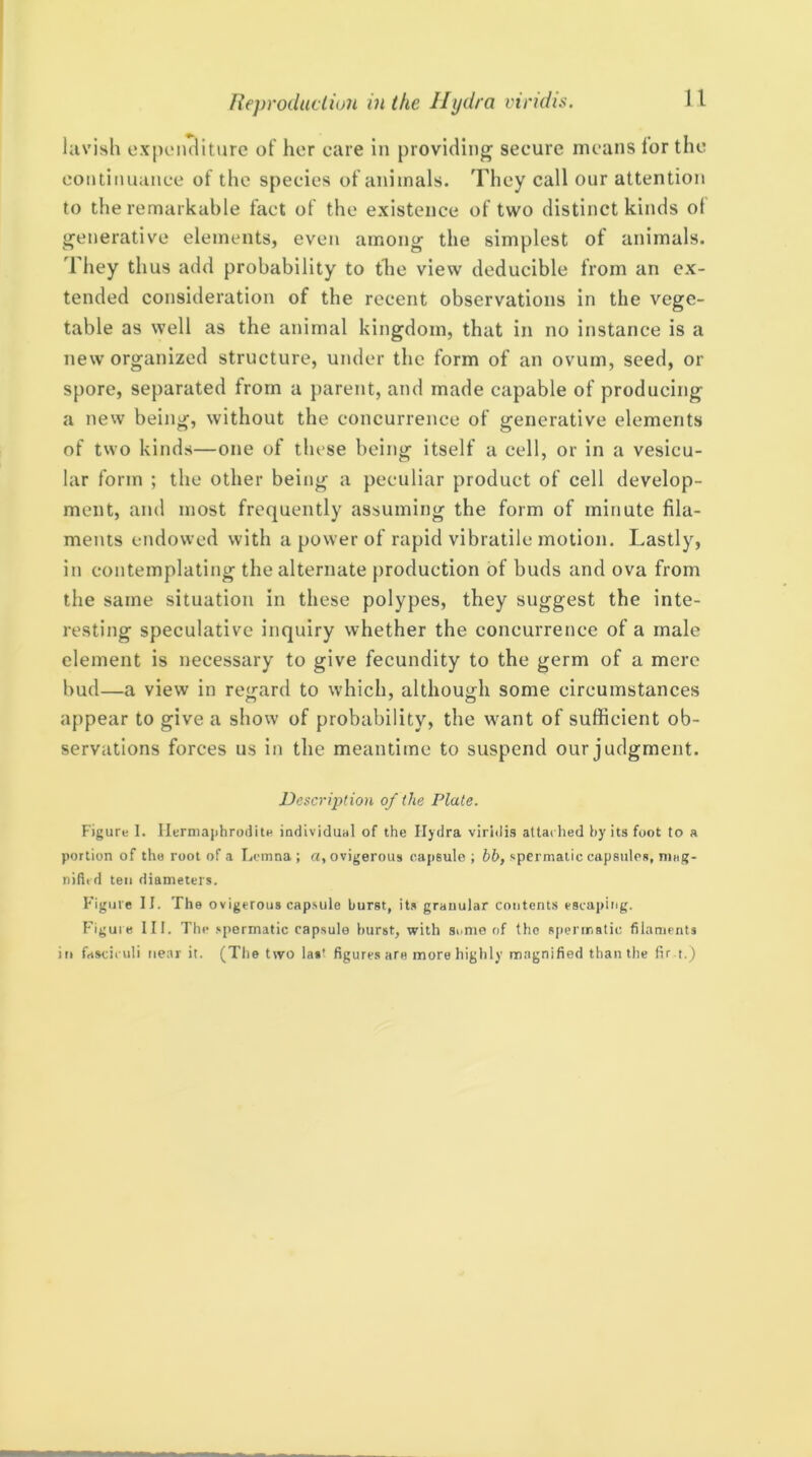 lavish expenditure of her care in providing secure means lor the continuance of the species of animals. They call our attention to the remarkable fact of the existence of two distinct kinds ot generative elements, even among the simplest of animals, 'rhey thus add probability to tlie view deducible from an ex- tended consideration of the recent observations in the vege- table as well as the animal kingdom, that in no instance is a new organized structure, under the form of an ovum, seed, or spore, separated from a parent, and made capable of producing a nevv being, without the concurrence of generative elements of two kinds—one of these being itself a cell, or in a vesicu- lar form ; the other being a peculiar product of cell develop- ment, and most frequently assuming the form of minute fila- ments endowed with a power of rapid vibratile motion. Lastly, in contemplating the alternate production of buds and ova from the same situation in these polypes, they suggest the inte- resting speculative inquiry whether the concurrence of a male element is necessary to give fecundity to the germ of a mere bud—a view in regard to which, although some circumstances appear to give a show of probability, the want of sufficient ob- servations forces us in the meantime to suspend our judgment. Description of the Plate. Figure I. Ilcrmaiihrodite individual of the Hydra viridis aUached hy its foot to a portion of the root of a Lt'inna ; a, ovigerous capsule ; bb, spermatic capsules, niag- niflrd ten diameters. Figure II. The ovigerous capsule hurst, its granular content.s escaping. Figure III. The .‘spermatic capsule hurst, with Sunio of the spermatic filaments in fasciculi near it. (The two last figures are more highly magnified than the fir t.)