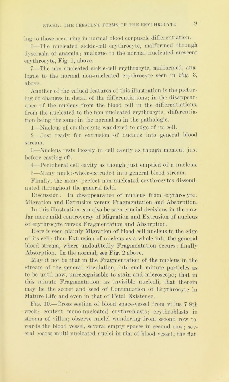 STAHL: Till’. (’HLSCKNT FOiniS OF TIIF. FKY'l'llHOt'YTF. }) ing to those oeeurring in normal blood corpiisele differentiation. ()—The nneleated sickle-cell erythrocyte, malformed through ilyscrasia of amemia ; analogue to the normal nneleated crescent erythrocyte, Fig. 1, above. 7—The non-nneleated sickle-cell erythrocyte, malformed, ana- logue to the normal non-nucleated erythrocyte seen in Fig. 3, above. Another of the valued features of this illustration is the pictur- ing of changes in detail of the differentiations; in the disa]>pear- ance of the nucleus from the blood cell in the differentiations, from the nucleated to the non-nucleated erythrocyte; diff'erentia- tion being the same in the normal as in the pathologic. 1— Nucleus of erythroeyte wandered to edge of its cell. 2— Just ready for extrusion of nnchns into general blood stream. 3— Nucleus rests loosely in cell cavity as though moment jnst before casting otf. 4— Peripheral cell cavity as though just emptied of a nucleus. b—Many nnclei-whole-extruded into general blood stream. Finally, the many perfect non-nucleated erythrocytes dissemi- nated throughout the general field. Discussion: In disappearance of nucleus from erythrocyte: .Migration and Extrusion versus Fragmentation and Absorption. In this illustration can also be seen crucial decisions in the now far more mild controversy of Migration and Extrusion of nucleus of erythrocyte versus Fragmentation and Absorption. Here is seen plainly Migration of blood cell lindens to the edge of its cell; then Extrusion of nucleus as a whole into the general blood stream, where undoubtedly Fragmentation occurs; finally Absorption. In the normal, see Fig. 2 aliove. iMay it not be that in the Fragmentation of the nucleus in the stream of the general circulation, into such minute particles as to be until now, unrecognizable to stain and microscope; that in this minute Fragmentation, as invisible nucleoli, that therein may lie the secret and seed of Continuation of Erythrocyte in Mature Life and even in that of Fetal Existence. Fig. 10.—Cross section of blood space-vessel from auIIus 7-8th week; content mono-niicleated erythroblasts; erjdhroblasts in stroma of villus; observe nuclei wandering from second row to- wards the blood vessel, several empty spaces in second row; sev- eral eoarse mnlti-nucleated nuclei in rim of blood vessel; the flat-