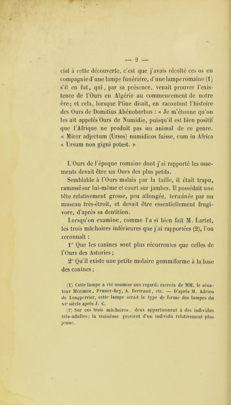 cial à celte découverte, c’est que j’avais récolté ces os en compagnie d’une lampe funéraire, d’unelampe romaine (i) s’il en fut, qui, par sa présence, venait prouver l’exis- tence de l’Ours en Algérie au commencement de notre èrcj et cela, lorsque Pline disait, en racontant l’histoire des Ours de Domitius Aliénobarbus : « Je m’étonne qu’on les ait appelés Ours de Numidie, puisqu’il est bien positif que l’Afrique ne produit pas un animal de ce genre. « Miror adjectum (Ursos) numidicos fuisse, cum in Africa « Ursum non gigni potest. » L’Ours de l’époque romaine dont j’ai rapporté les osse- ments devait elre un Ours des plus petits. Semblable à l’Ours malais par la taille, il était trapu, ramassé sur lui-même et court sur jambes. Il possédait une tôle relativement grosse, peu allongée, terminée par un museau très-étroit, et devait être essentiellement frugi- vore, d’après sa dentition. Lorsqu’on examine, comme l’a si bien fait M. Larlet, les trois mâchoires inférieures que j’ai rapportées (2), l’on reconnaît : 1 Que les canines sont plus récurrentes que celles de l’Ours des Asturies ; 2” Qu’il existe une petite molaire gemmiforme à la base des canines ; (1) Cette lampe a été soumise aux regarda exercés de MM. le séna- teur Mérimée, Pruner-Bey, A. Dertraud, etc. — D’après M. Adrieu de Longperrier, cetle lampe serait le type de forme des lampes du vP siècle après J. C. {■l) Sur ces trois mâchoires, deux appartiennent à des individus très-adultes; la troisième provient d’un individu relativement plus jeune.