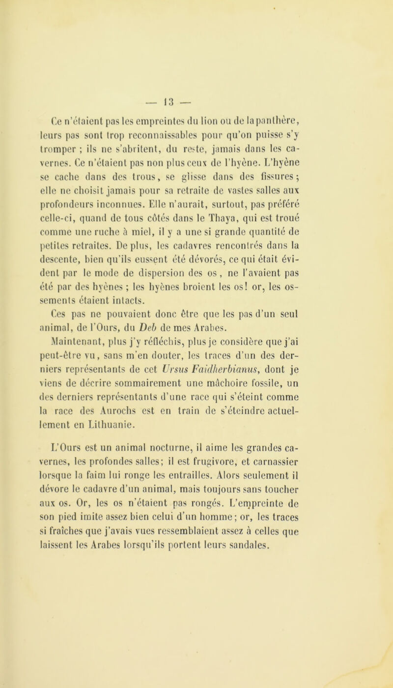 (’e n’claienl pas les empreintes du lion ou de la|)anthère, leurs pas sont trop reconnaissables pour qu’on puisse s’y tromper ; ils ne s’abritent, du reste, jamais dans les ca- vernes. Ce n’étaient pas non plus ceux de l’hyène. L’hyène se cache dans des trous, se glisse dans des fissures; elle ne choisit jamais pour sa retraite de vastes salles aux profondeurs inconnues. Elle n’aurait, surtout, pas préféré celle-ci, quand de tous côtés dans le ïhaya, qui est troué comme une ruche à miel, il y a une si grande quantité de petites retraites. Déplus, les cadavres rencontrés dans la descente, bien qu’ils eussent été dévorés, ce qui était évi- dent par le mode de dispersion des os, ne l’avaient pas été par des hyènes ; les hyènes broient les os! or, les os- sements étaient intacts. Ces pas ne pouvaient donc être que les pas d’un seul animal, de l’Ours, du Deb de mes Arabes. Maintenant, plus j’y réfléchis, plus je considère que j’ai peut-être vu, sans m’en douter, les traces d’un des der- niers représentants de cet Ursiis Faidherbiamis, dont je viens de décrire sommairement une mâchoire fossile, un des derniers représentants d’une race qui s’éteint comme la race des Aurochs est en train de s’éteindre actuel- lement en Lithuanie. L’Ours est un animal nocturne, il aime les grandes ca- vernes, les profondes salles; il est frugivore, et carnassier lorsque la faim lui ronge les entrailles. Alors seulement il dévore le cadavre d’un animal, mais toujours sans toucher aux os. Or, les os n’étaient pas rongés. L’empreinte de son pied imite assez bien celui d’un homme; or, les traces si fraîches que j’avais vues ressemblaient assez à celles que laissent les Arabes lorsqu’ils portent leurs sandales.